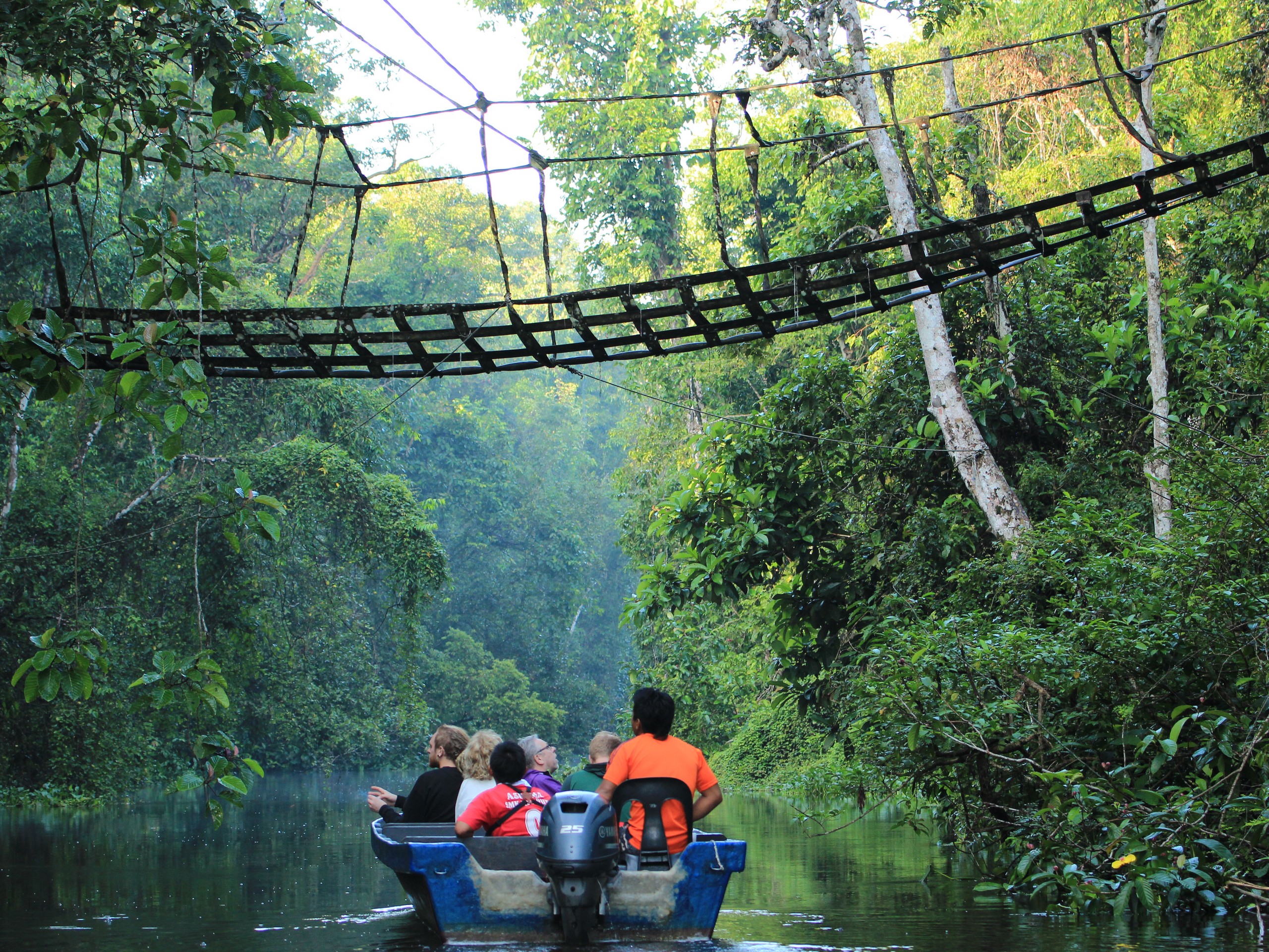 Kinabatangan River - River Cruise