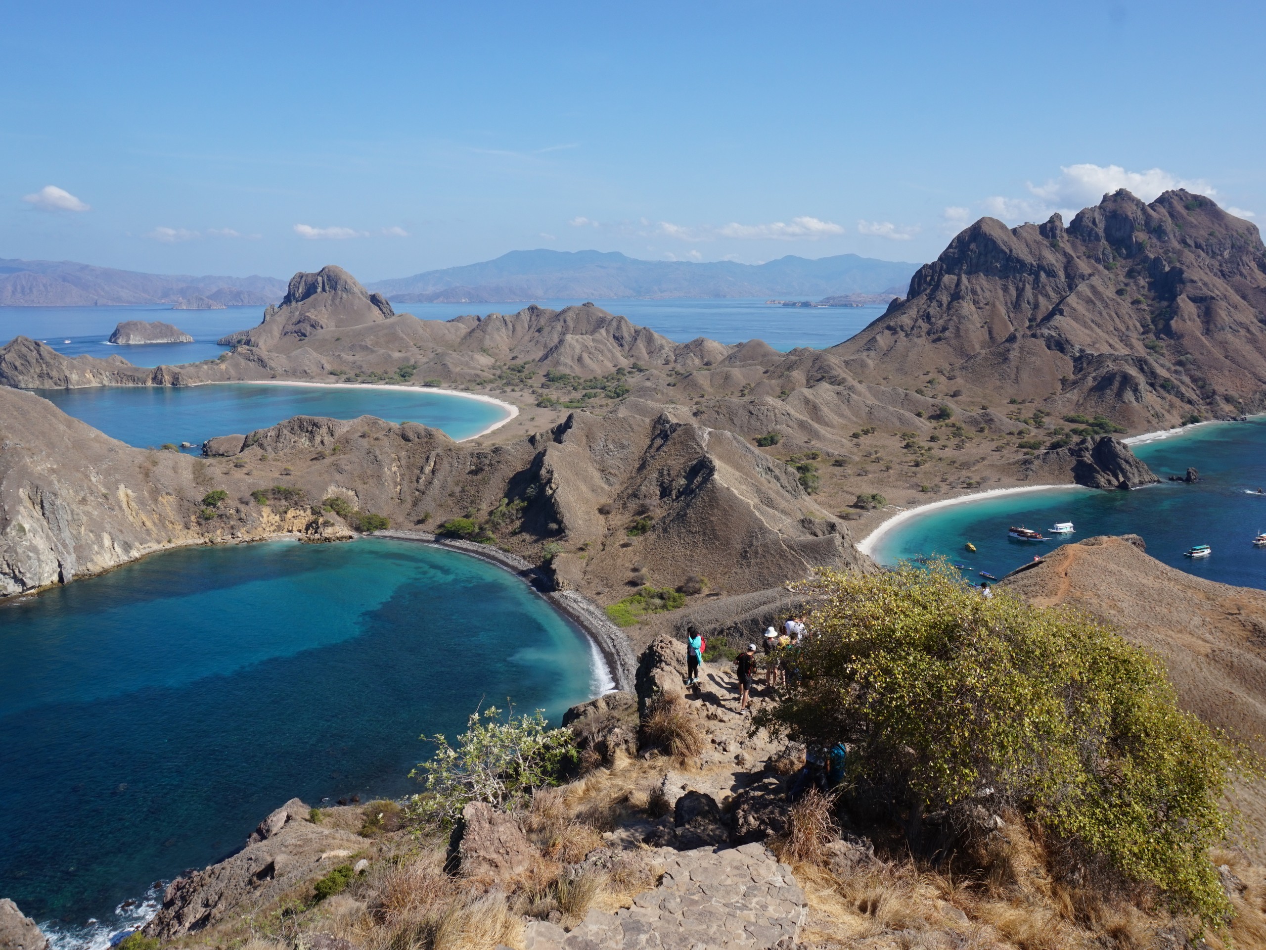 Flores - Komodo NP - Padar Island