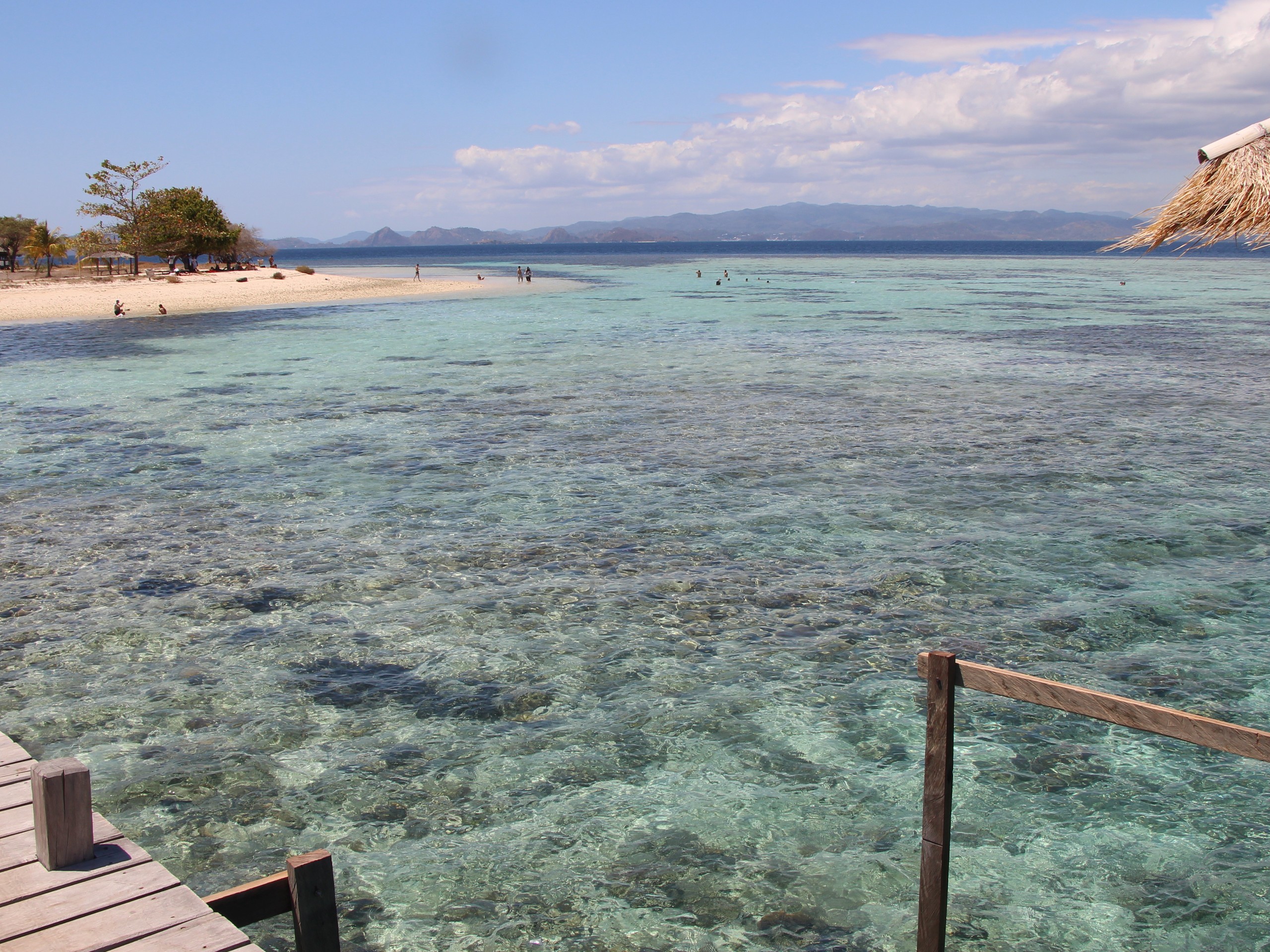 Flores - Komodo NP