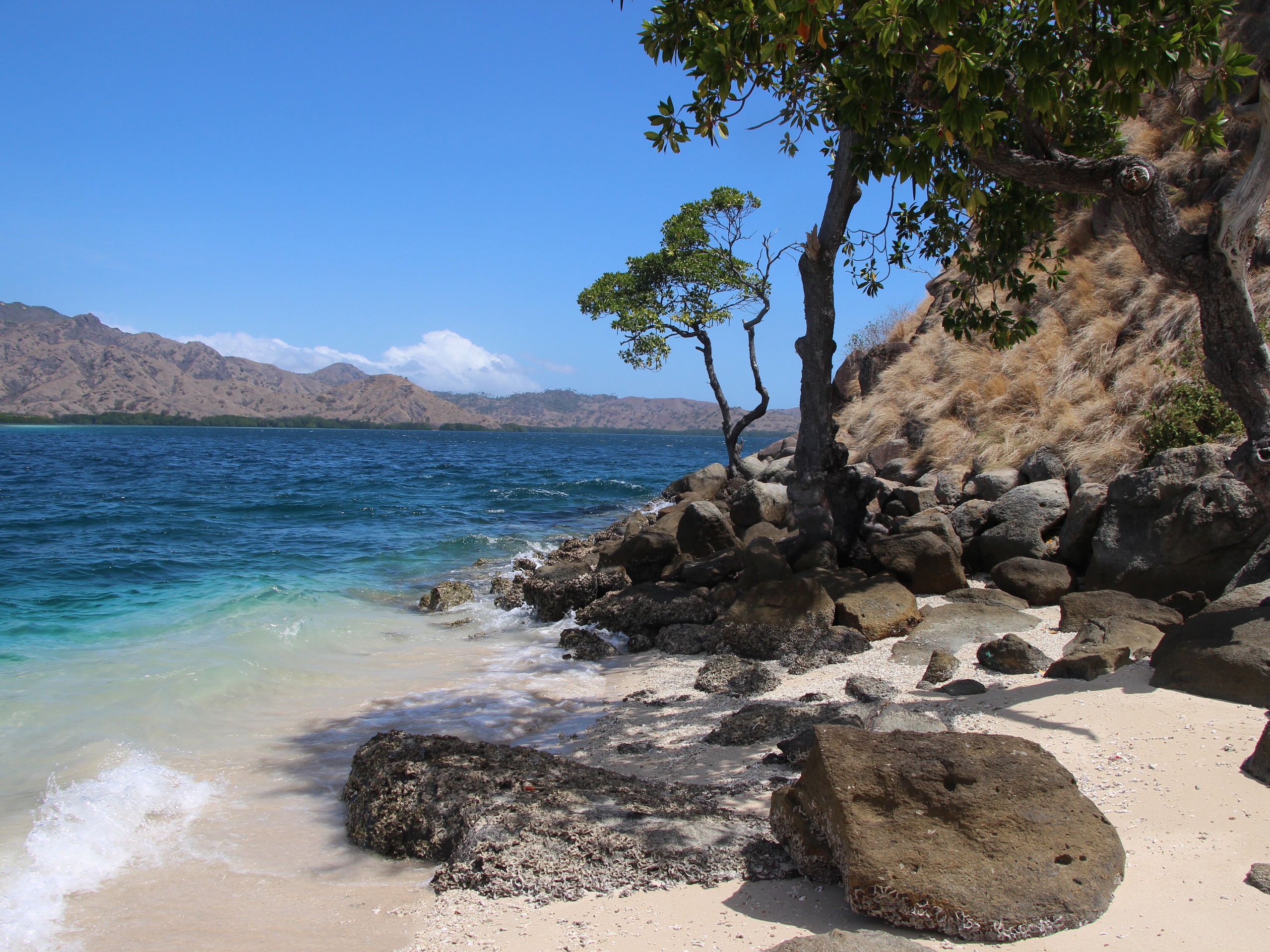 Flores - Komodo NP