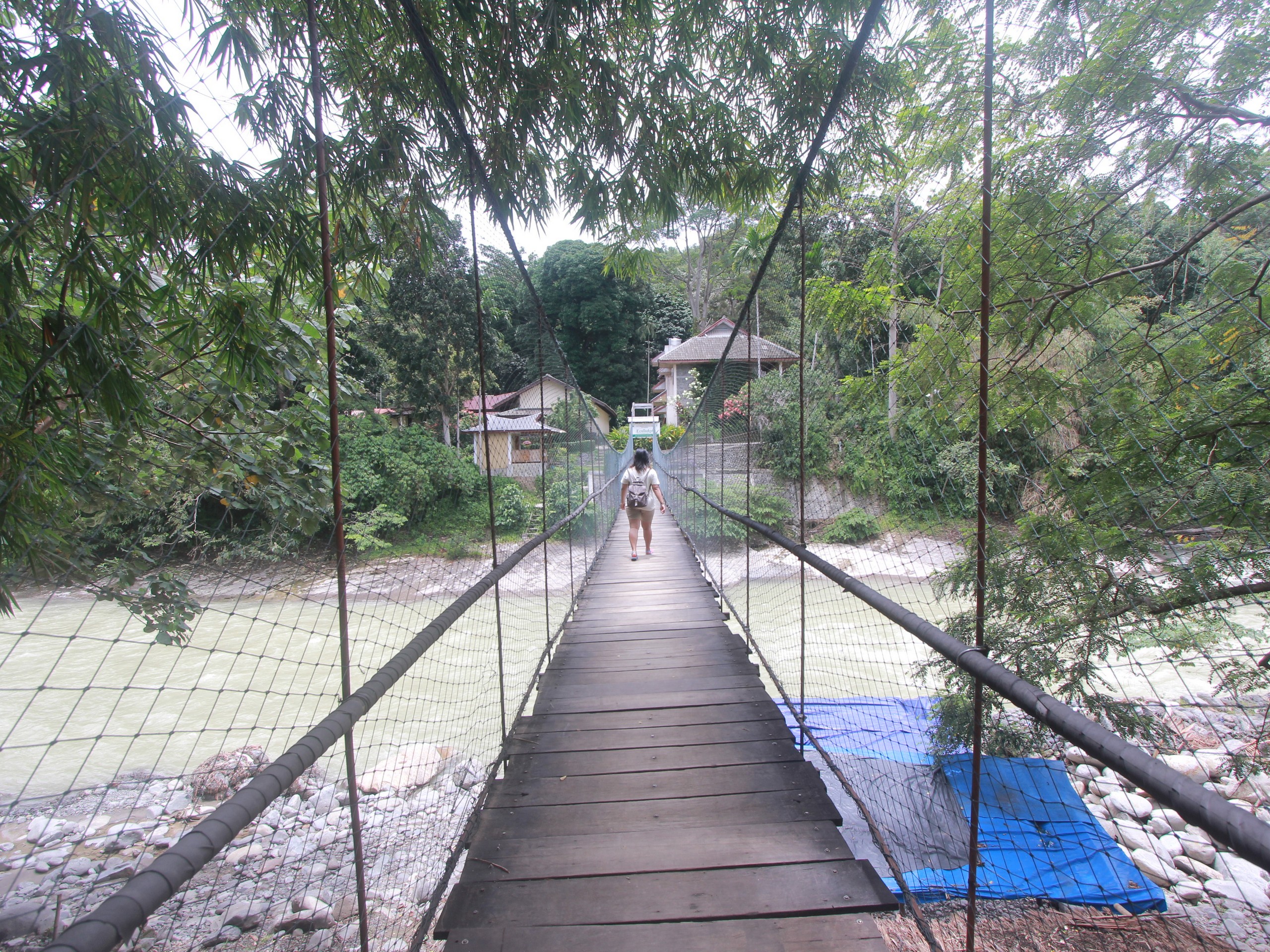 Sumatra - Bohorok River 4