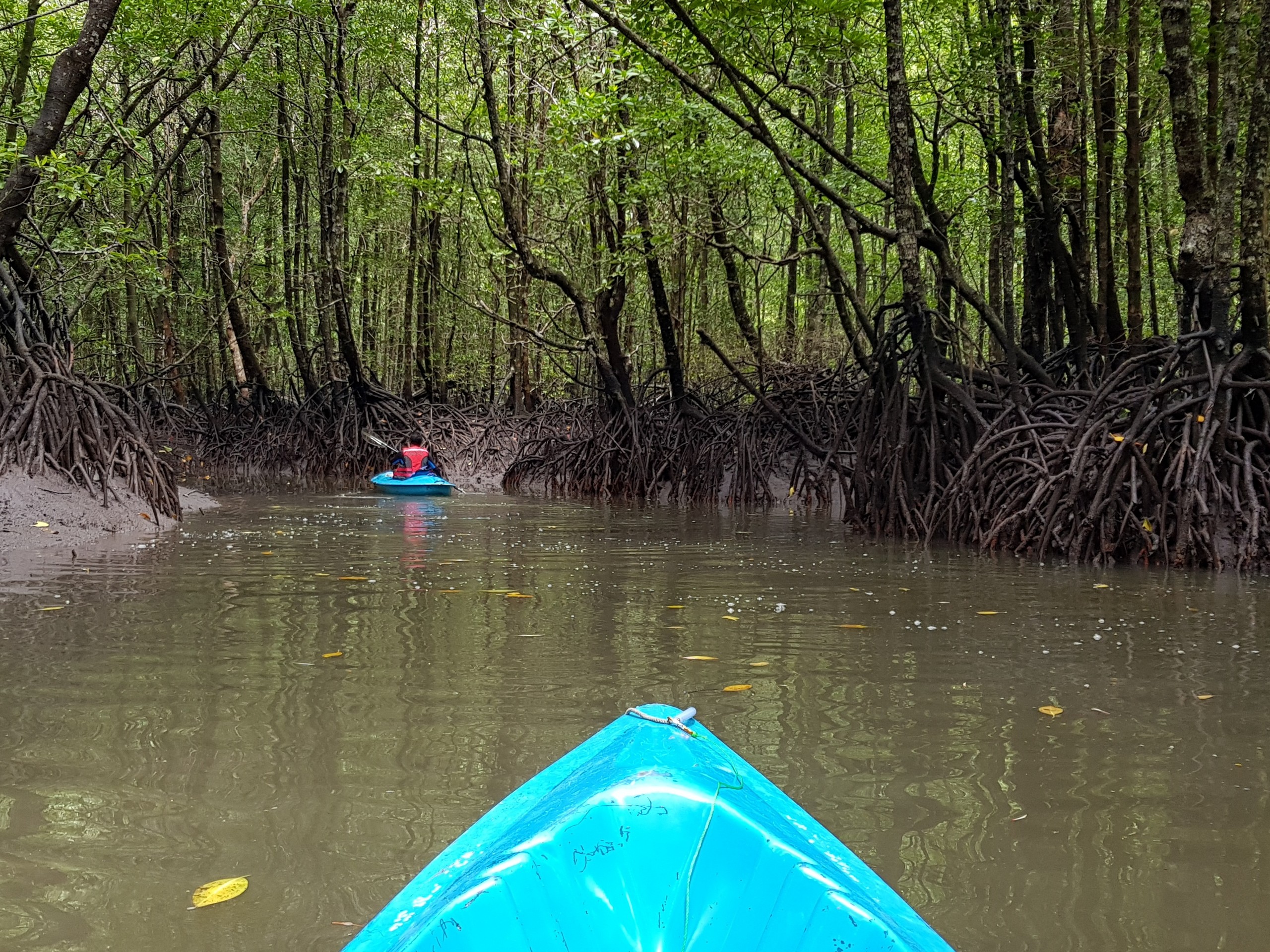 Langkawi Kayaking 1