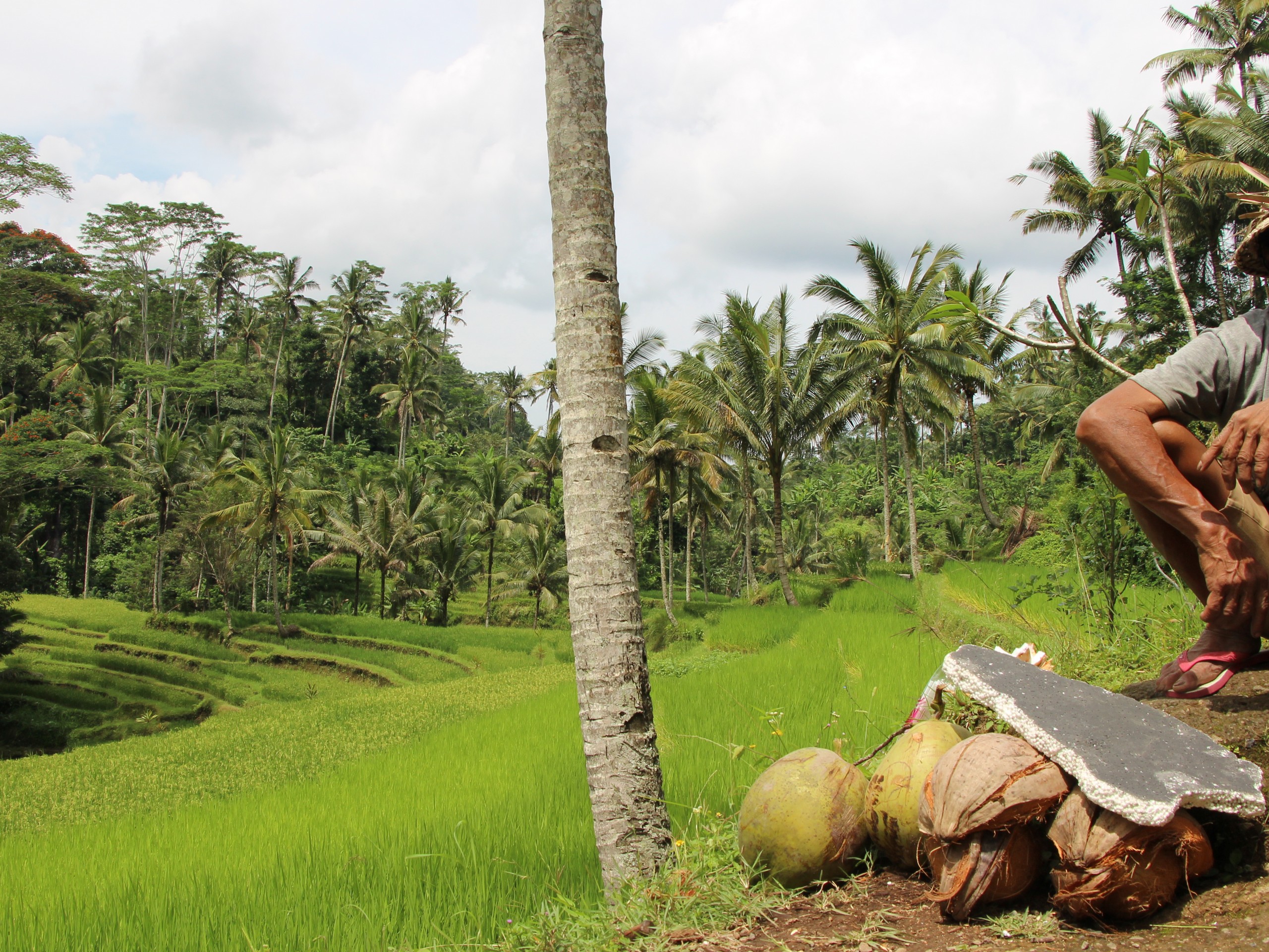 Bali - Ubud - Gunung Kawi