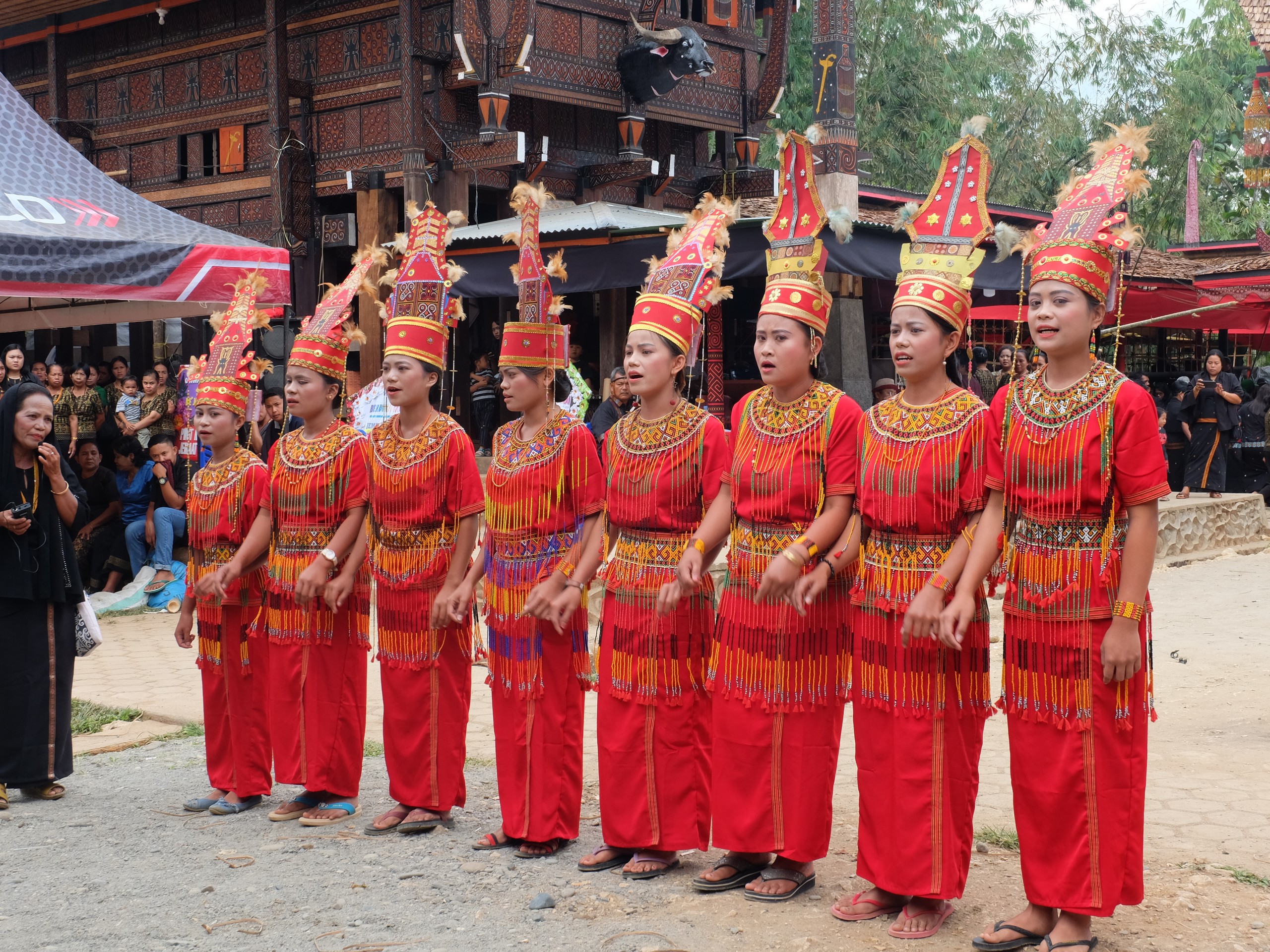 Sulawesi - Toraja Traditional Ceremony(2)