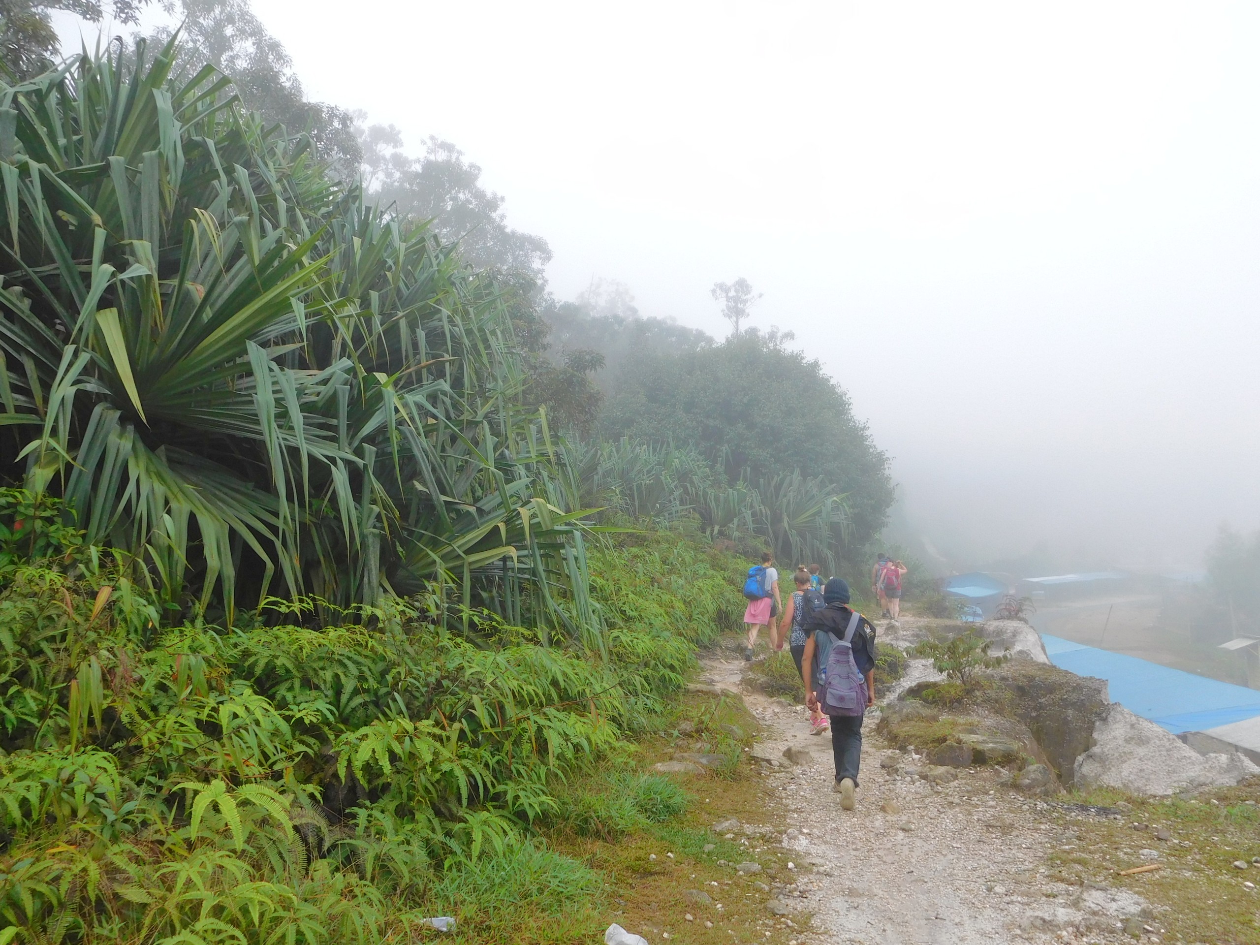 Sumatra - mt Sibayak Climb