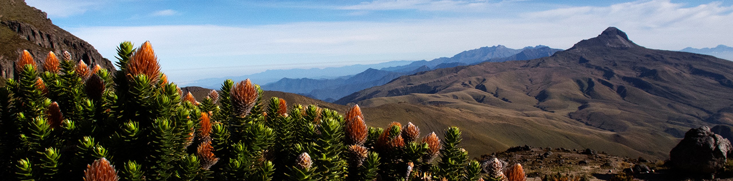 Climbing Ecuador’s Volcanoes Tour