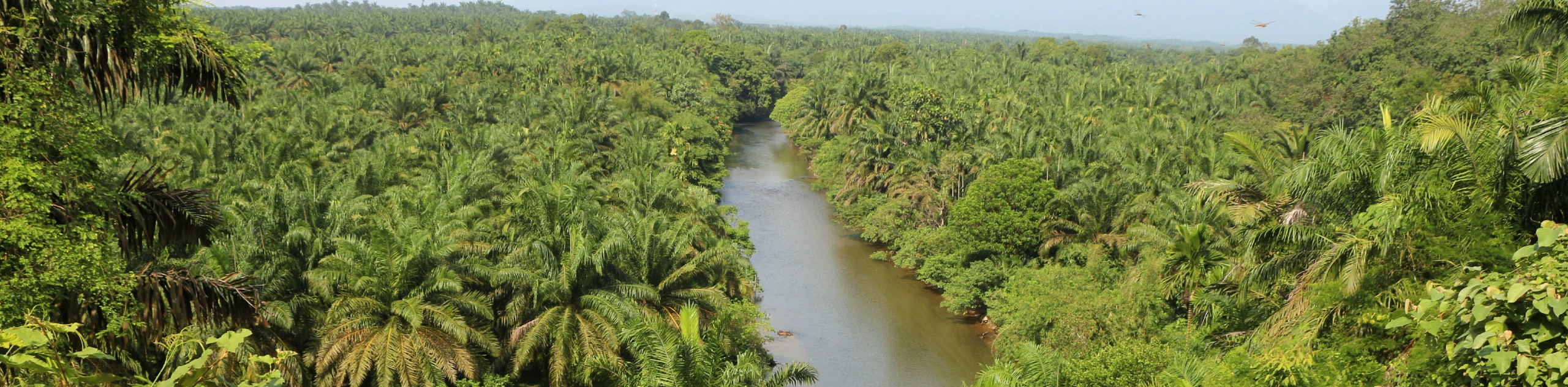 Jungle and Beaches of Northern Sumatra