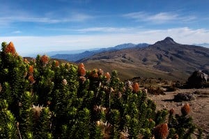 Climbing Ecuador’s Volcanoes Tour