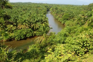 Jungle and Beaches of Northern Sumatra