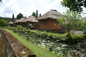 Ultimate Java and Bali Tour