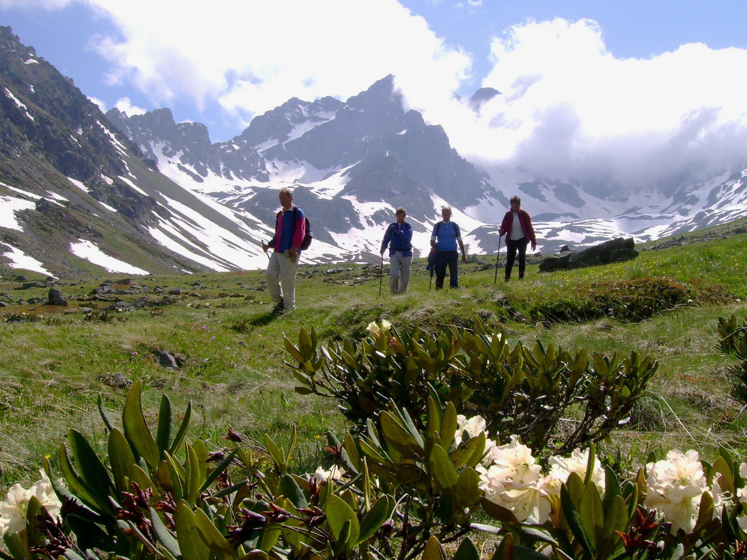 Four hikers trekking in Kackar mountains