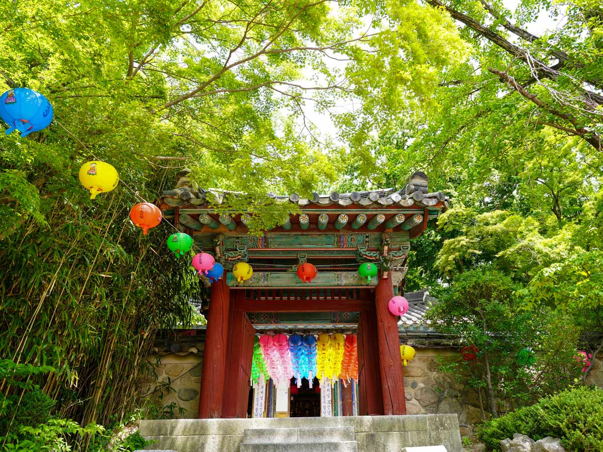 Bulguksa temple paper lanters South Korea bike tour