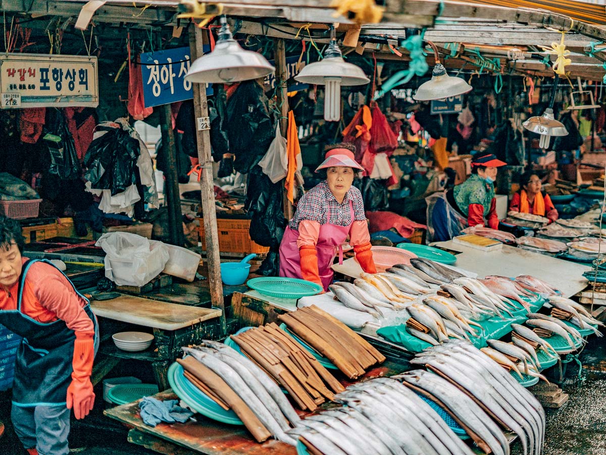 Jagalchi fish market South Korea South Korea bike tour