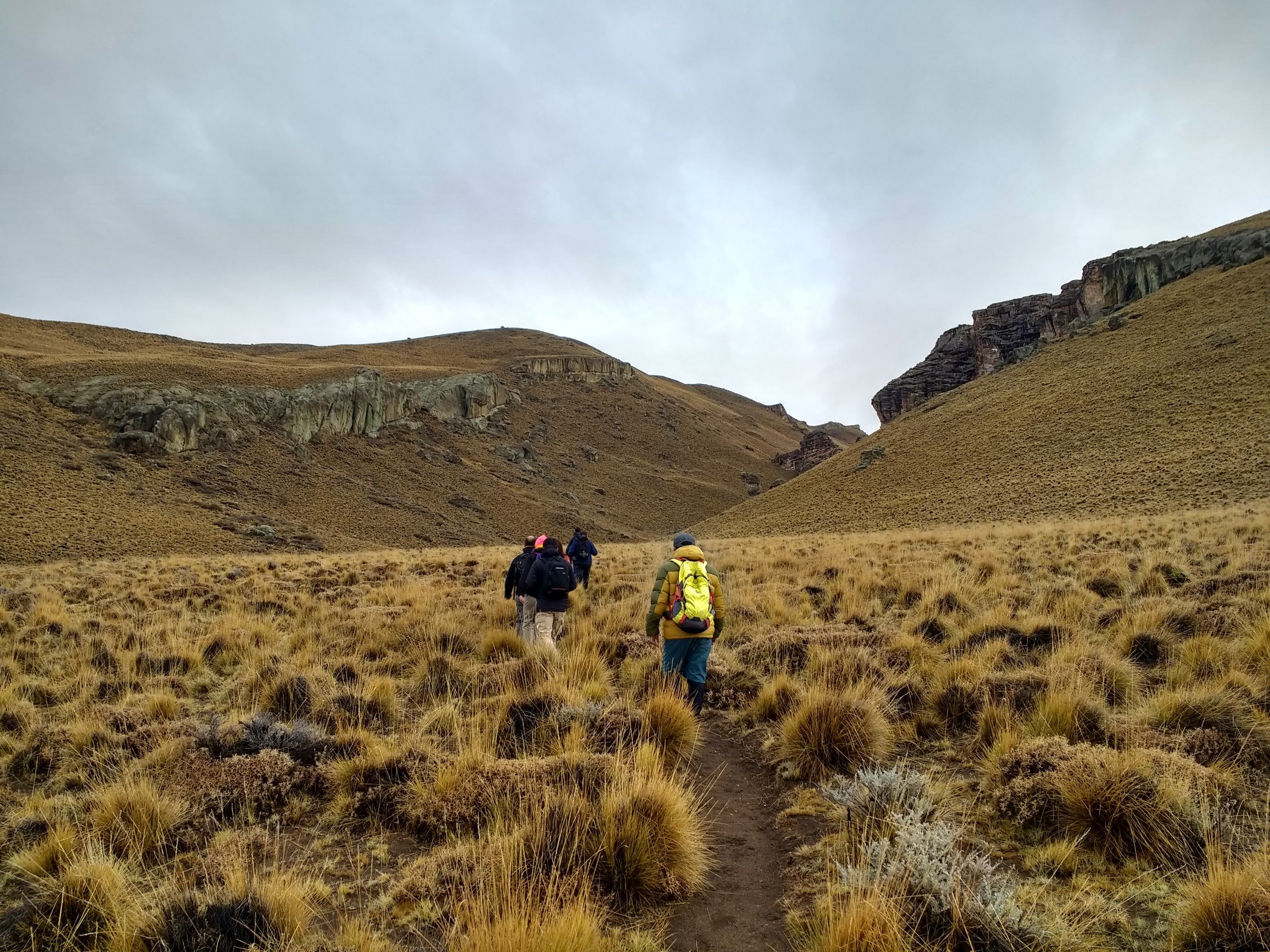 Vast meadows in Chilean Andes