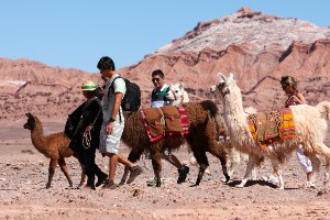 Chile’s Deserts Lakes and Peaks Tour