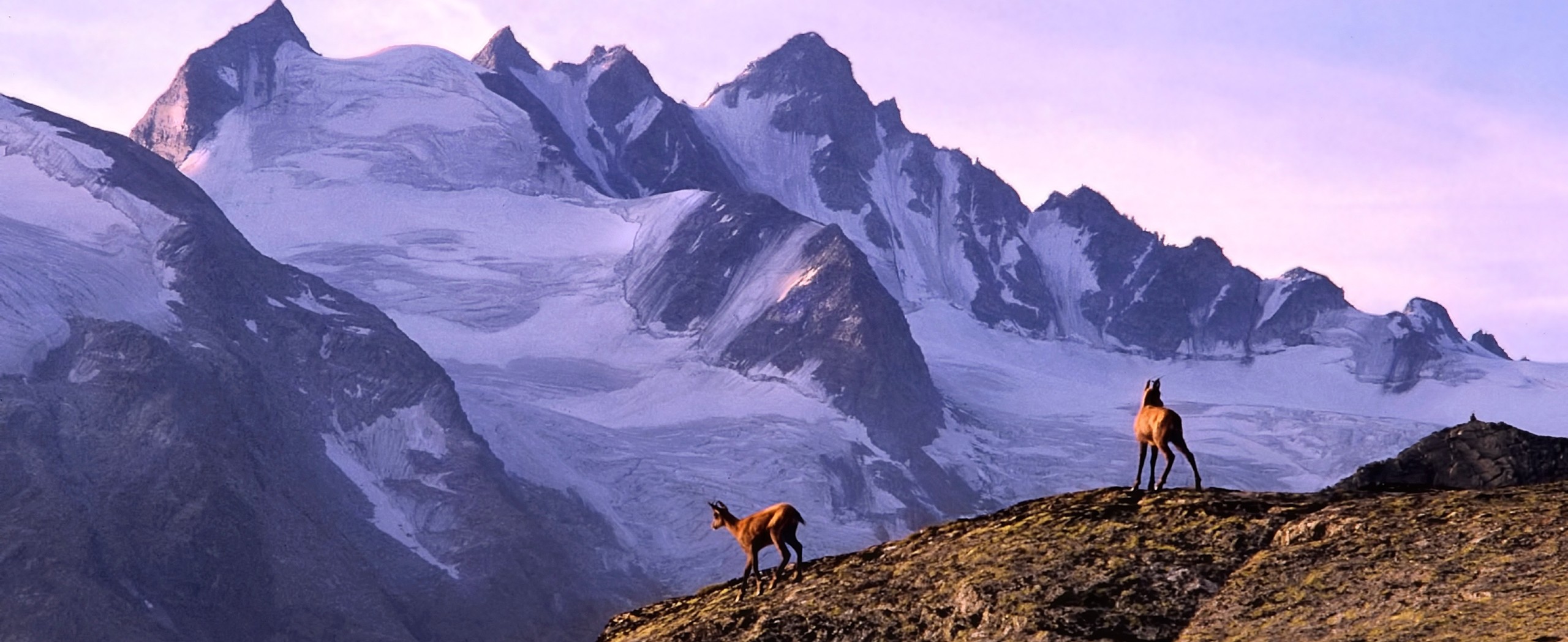 Gran Paradiso Loop