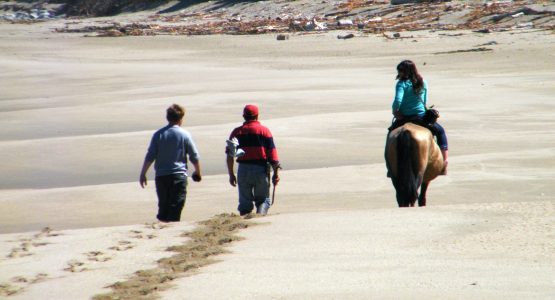 Chilean Lake District Hiking Tour