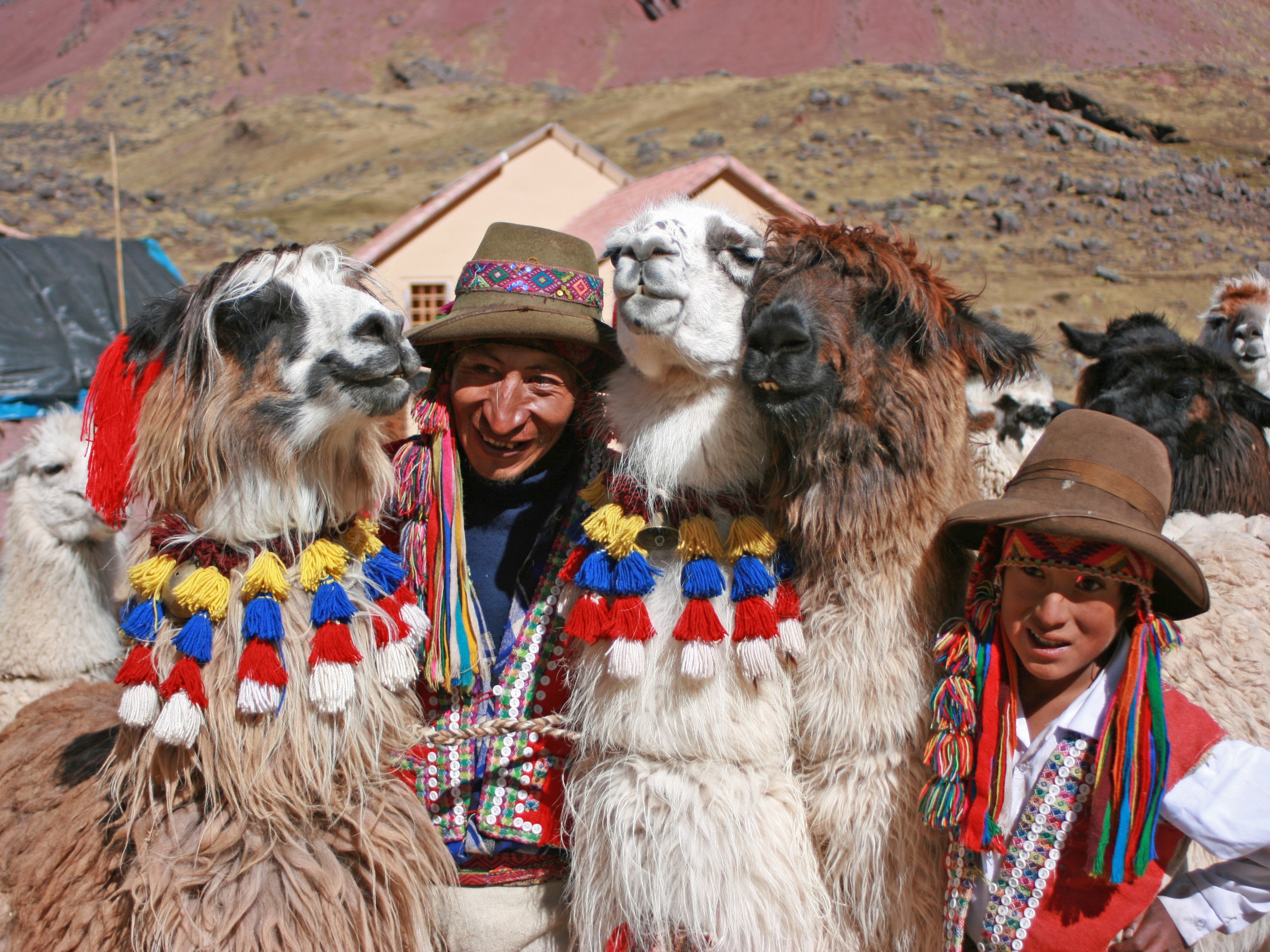 Locals with llamas in Peru
