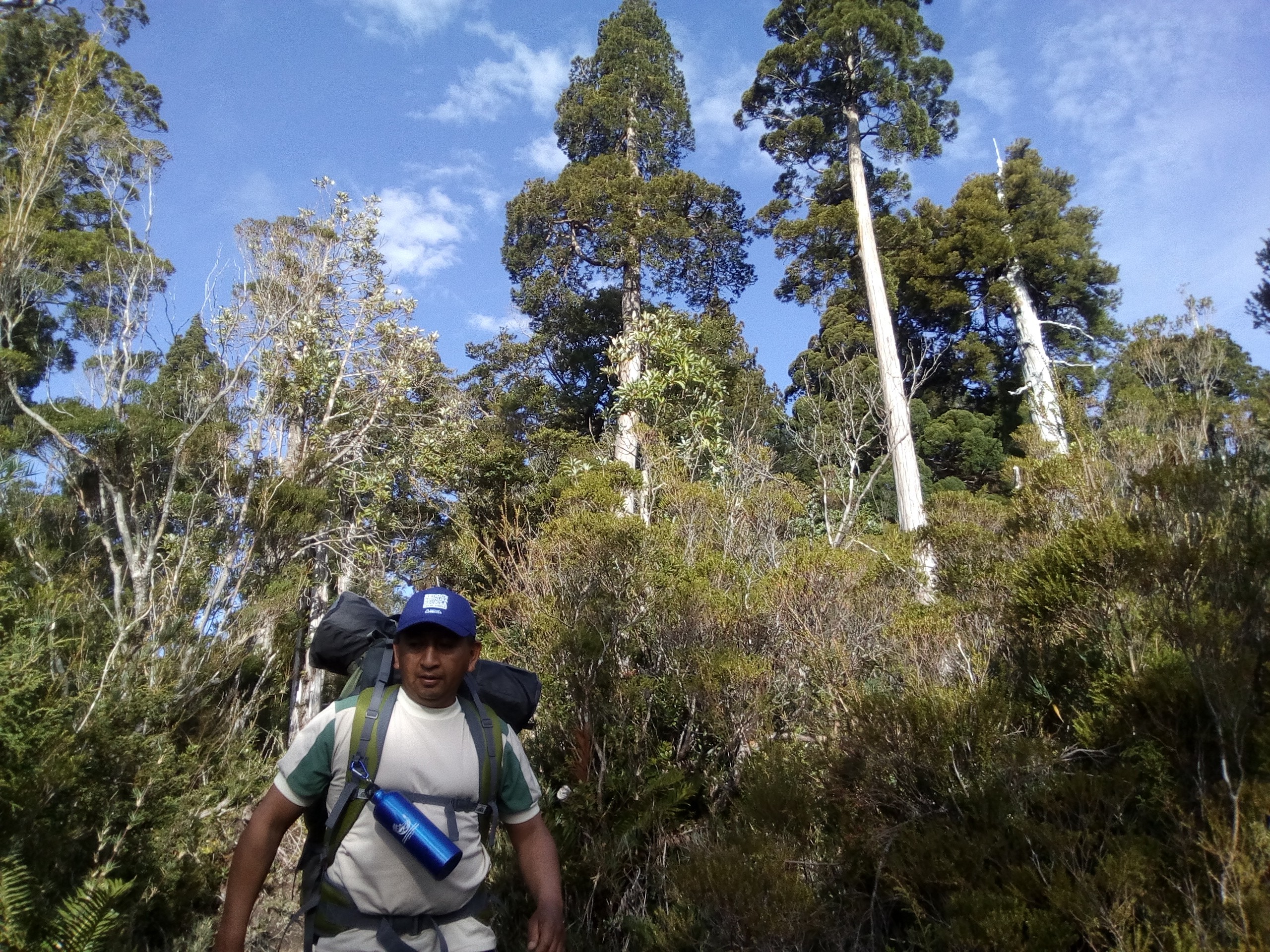 Local guide in Mapu region, Chile