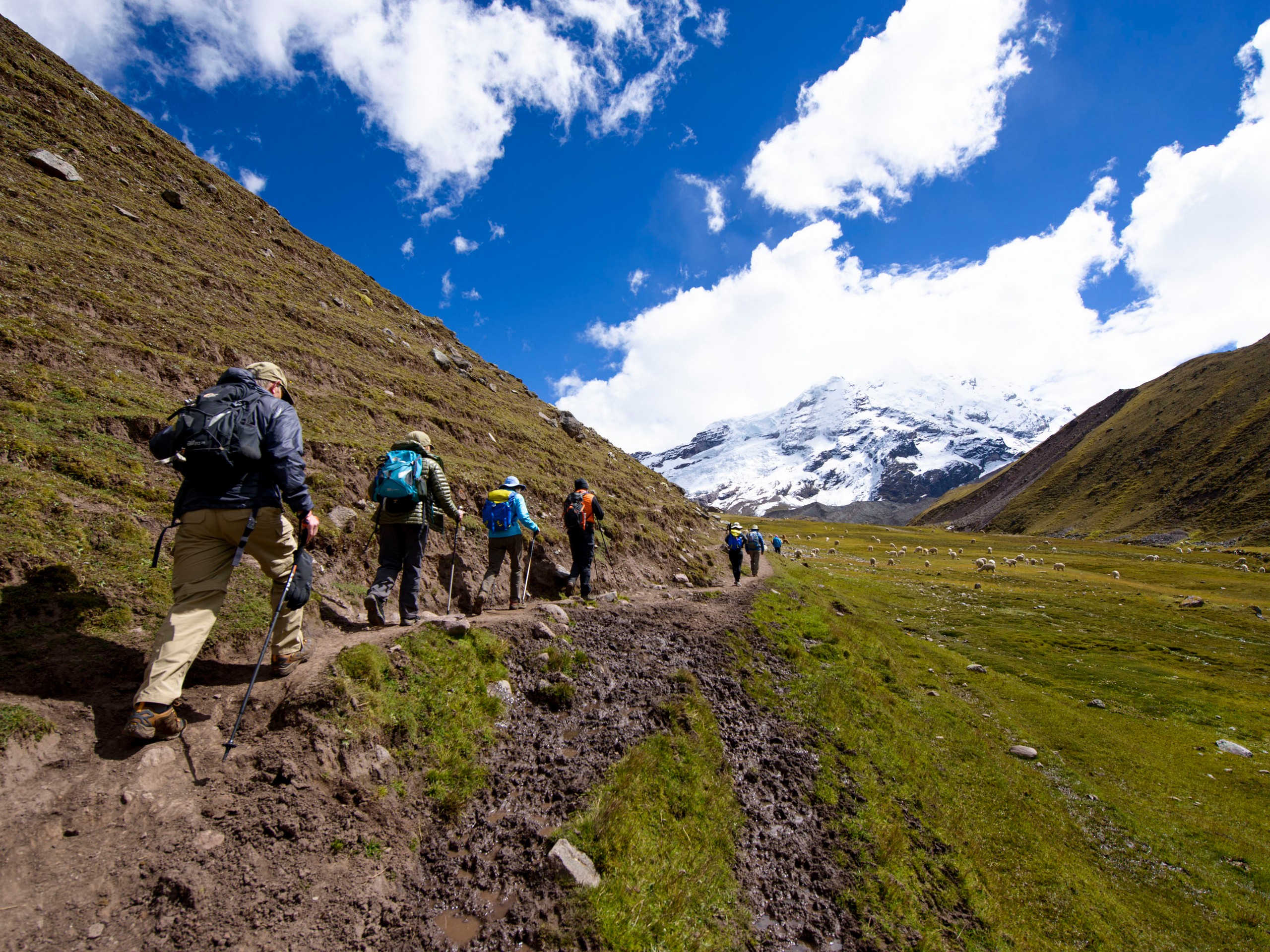 Group hiking the Llama trails