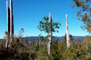 Chilean Lake District Hiking Tour