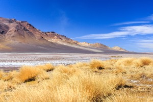 Atacama Desert Self-Drive Tour