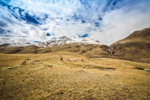 Lodge-Based Palomani High Pass Trek