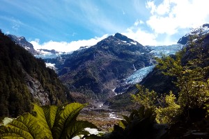 Pumalín Douglas Tompkins National Park & Yelcho Glacier Tour