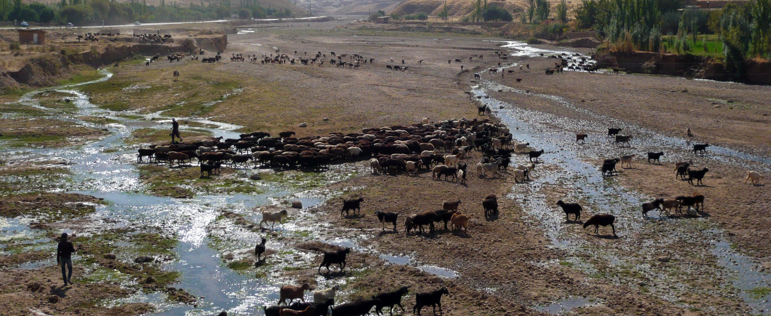 Uzbekistan Nature Eco-Tour