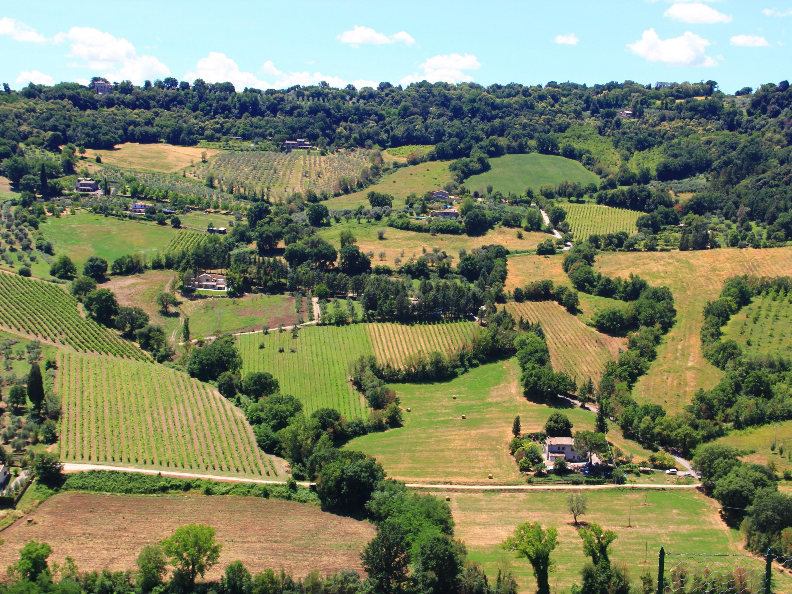 Pastures in Orivieto, Italy