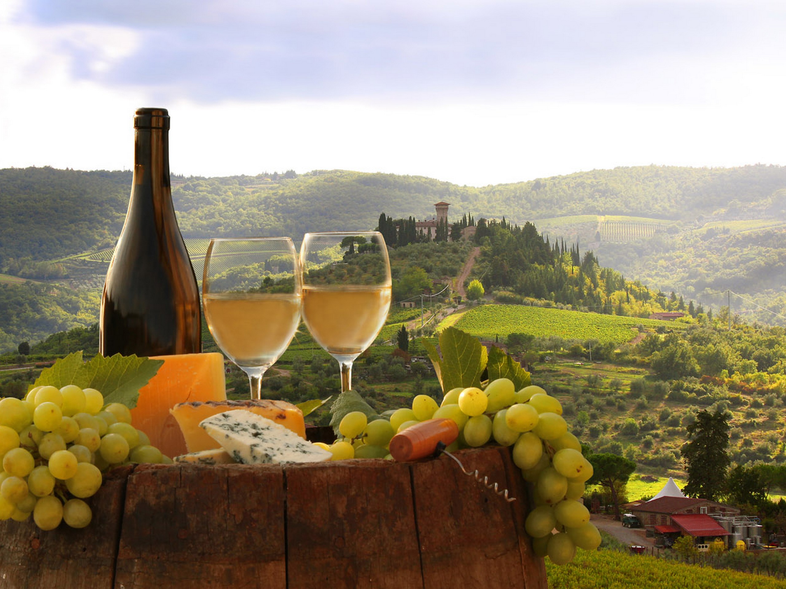 Wine and grapes with the background of the Italian Castle