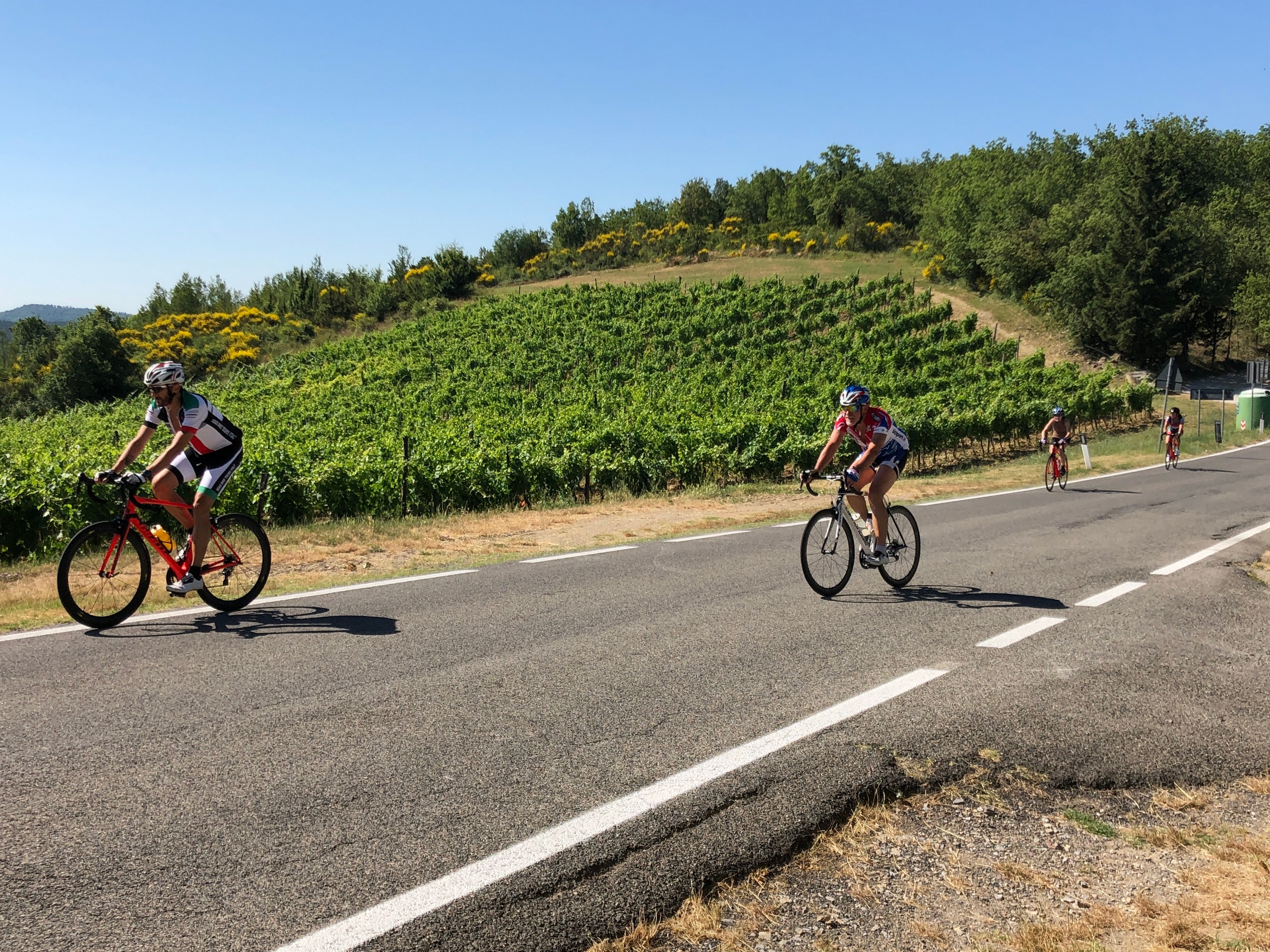 Beautiful cycling path among the vineyards in Italy