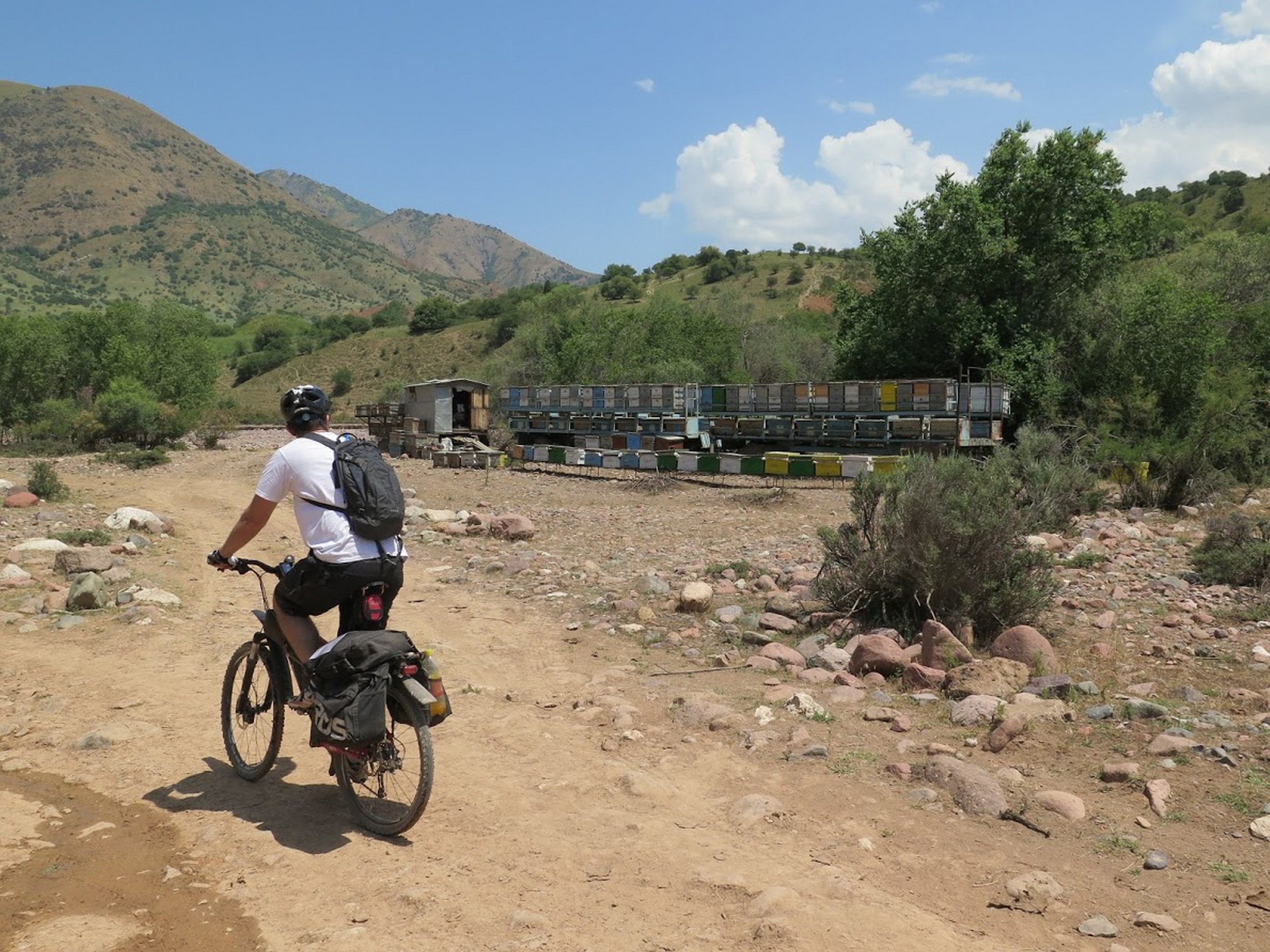 Riding along the old pastures in Uzbekistan