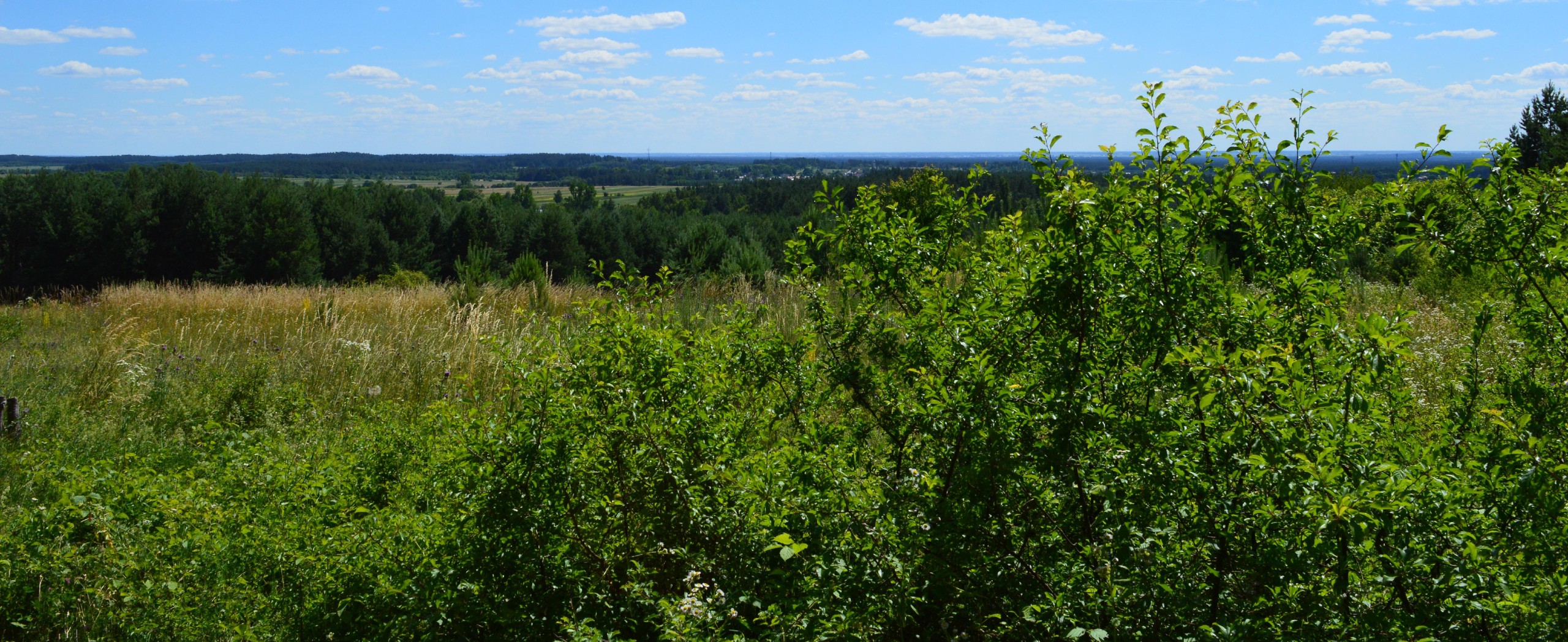 Biking Along the Vistula - Cracow to Warsaw