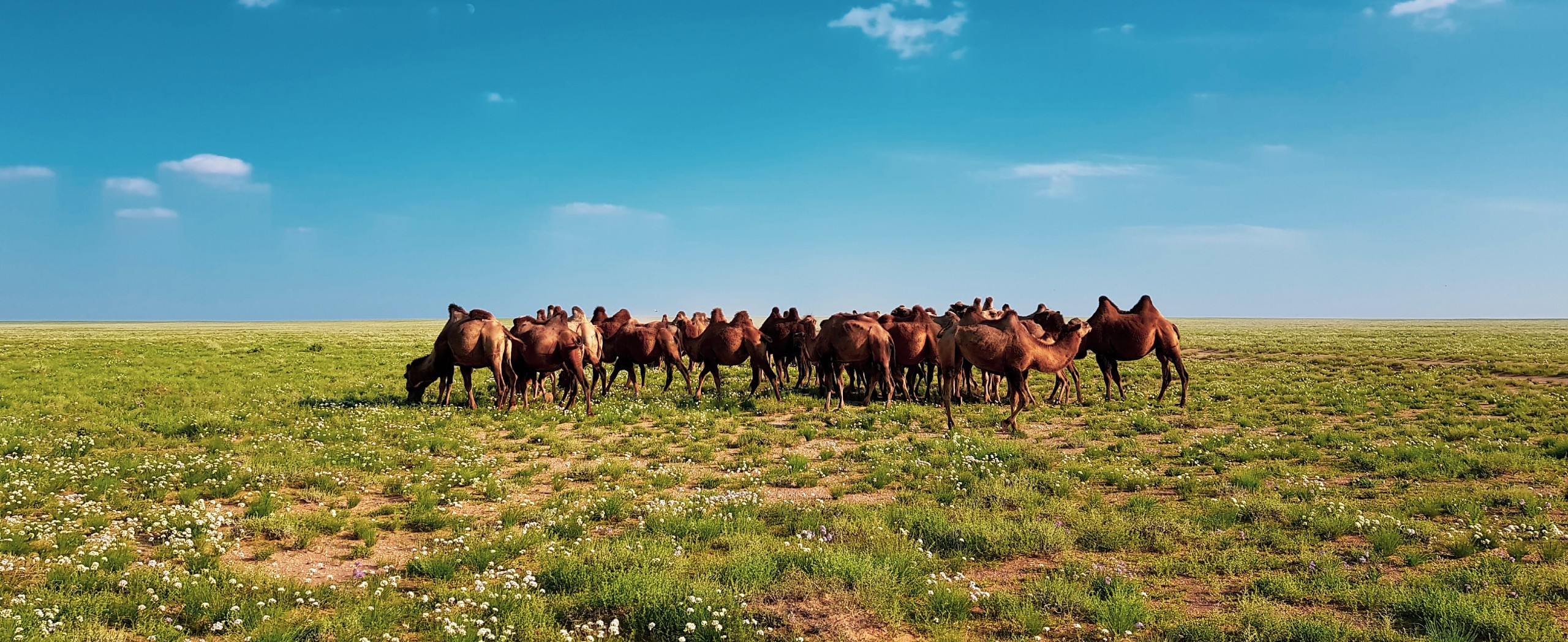 Overland Loop of Mongolia