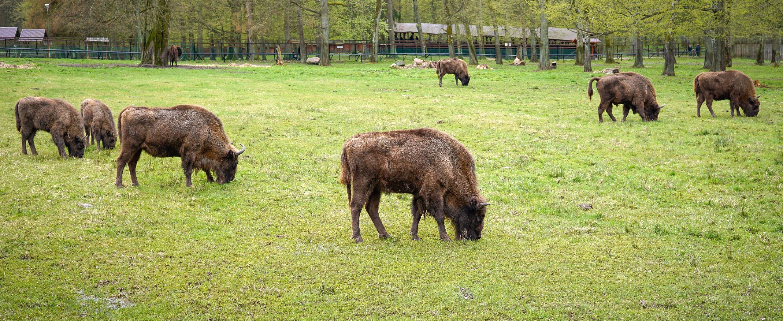 Eastern Poland Family-Friendly Bike Tour