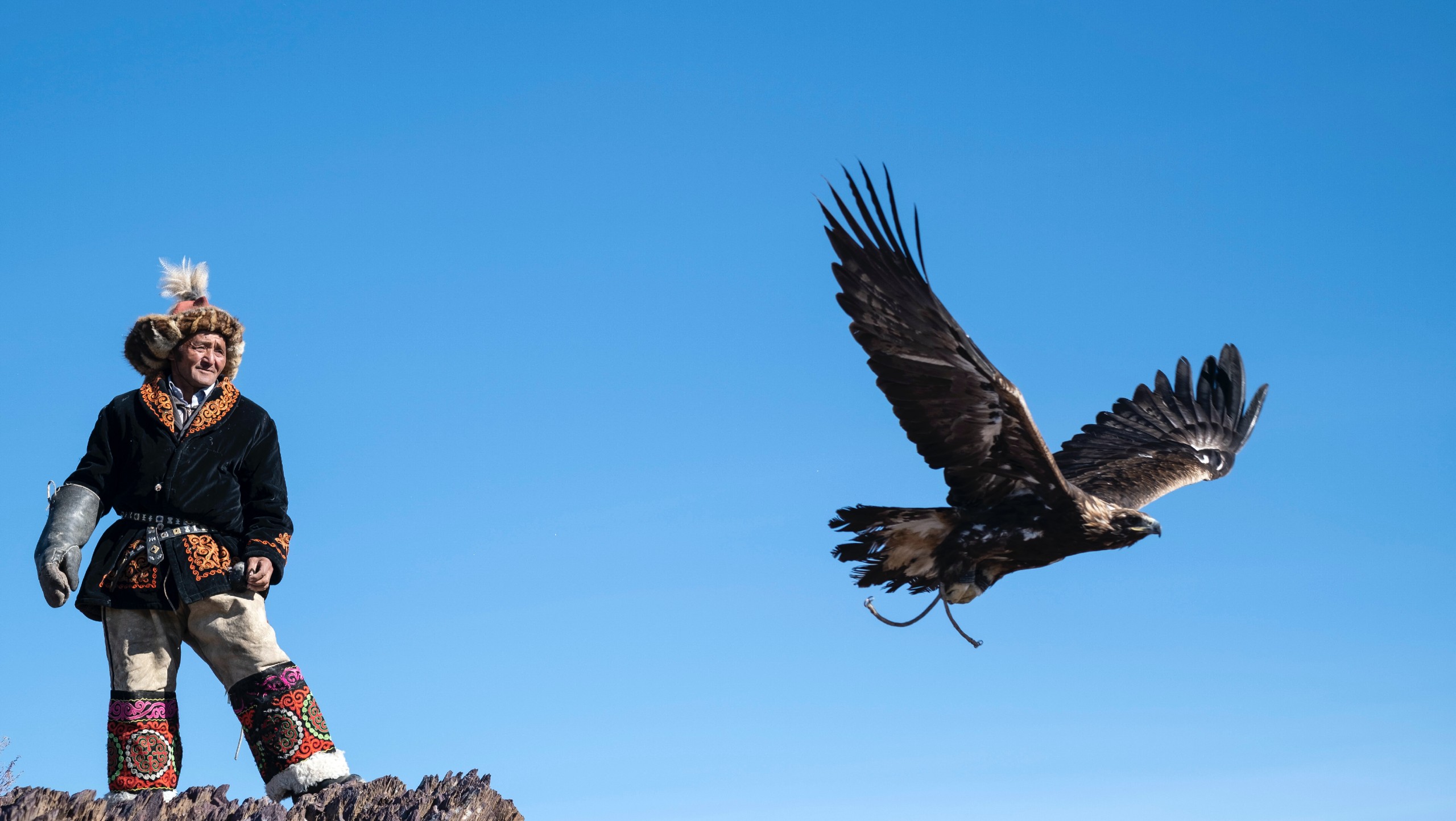 The Eagle Festival Tour