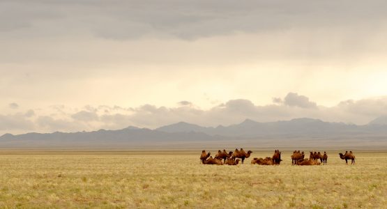 Overland Loop of Mongolia