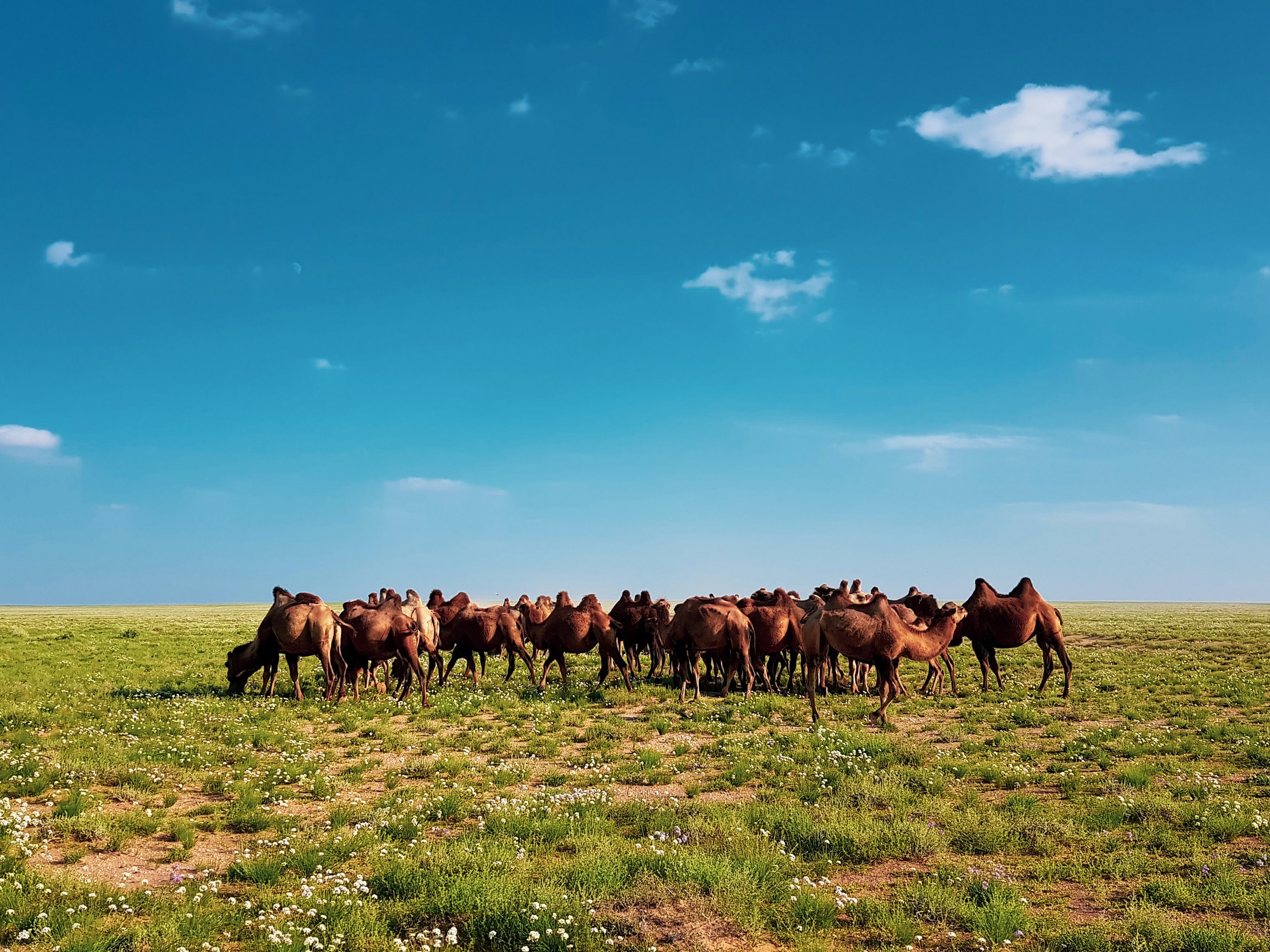 Mongolia countryside views