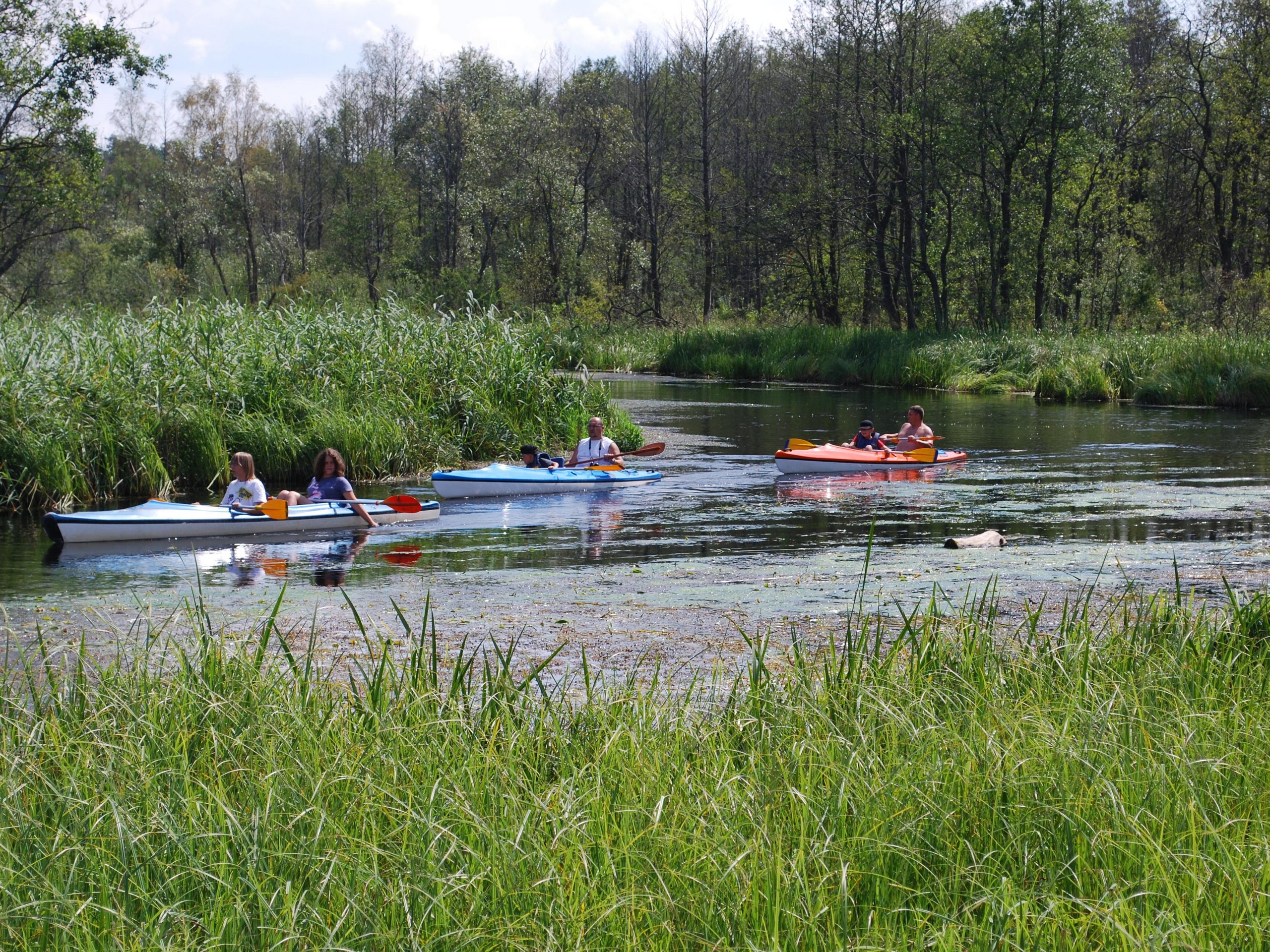 Kayaking in Masurian Lake District