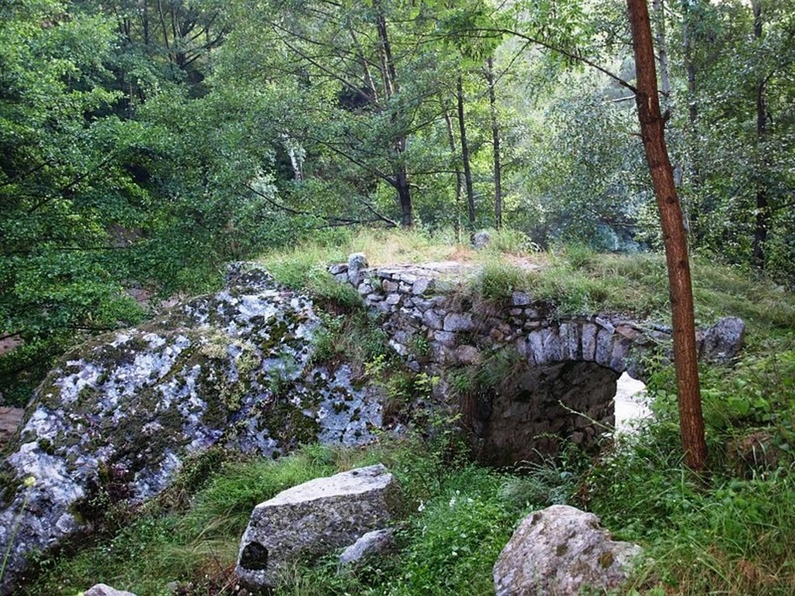 Rhodope - ancient Roman bridge