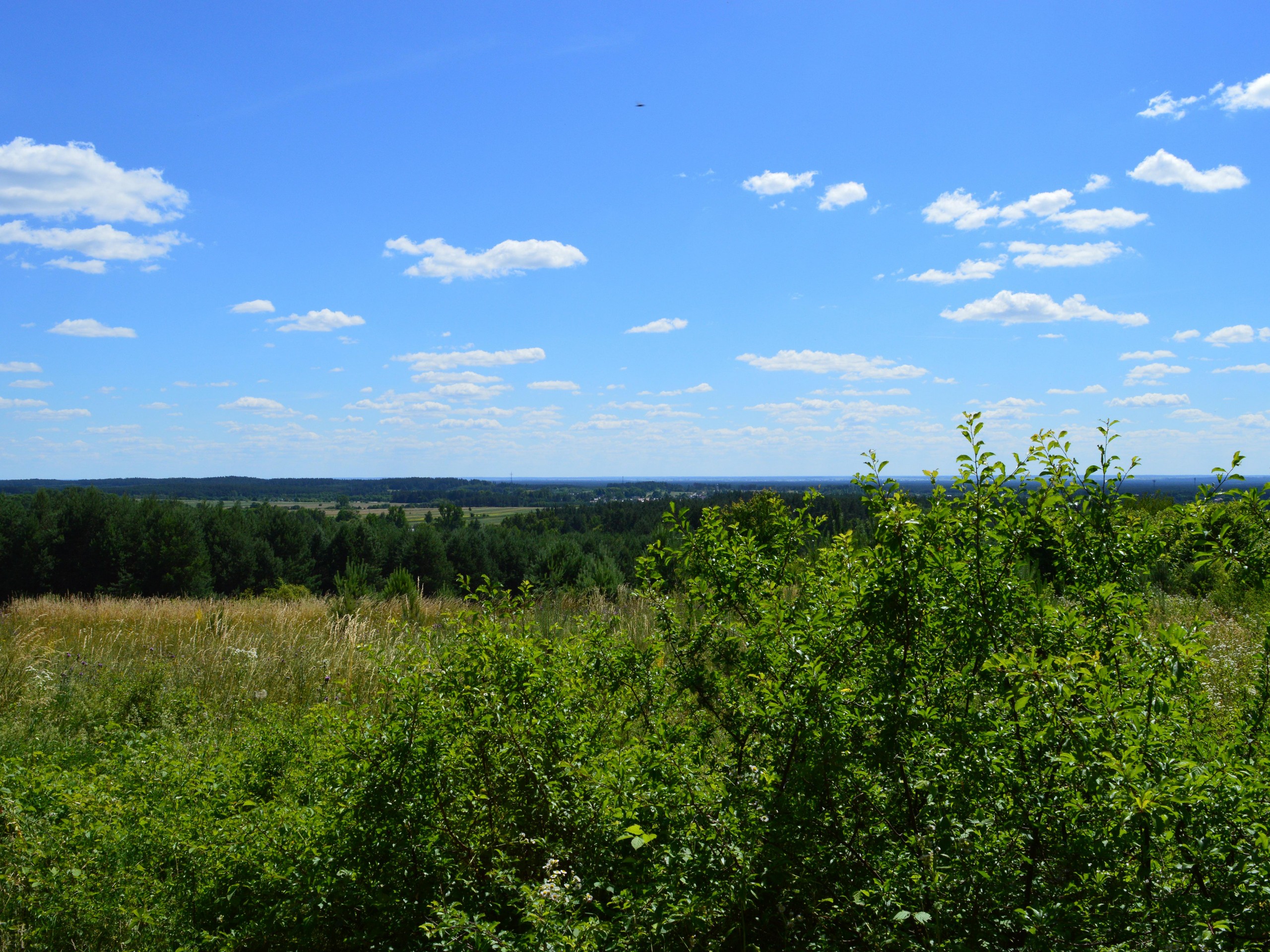 Riding the bike through the green pastures of Poland