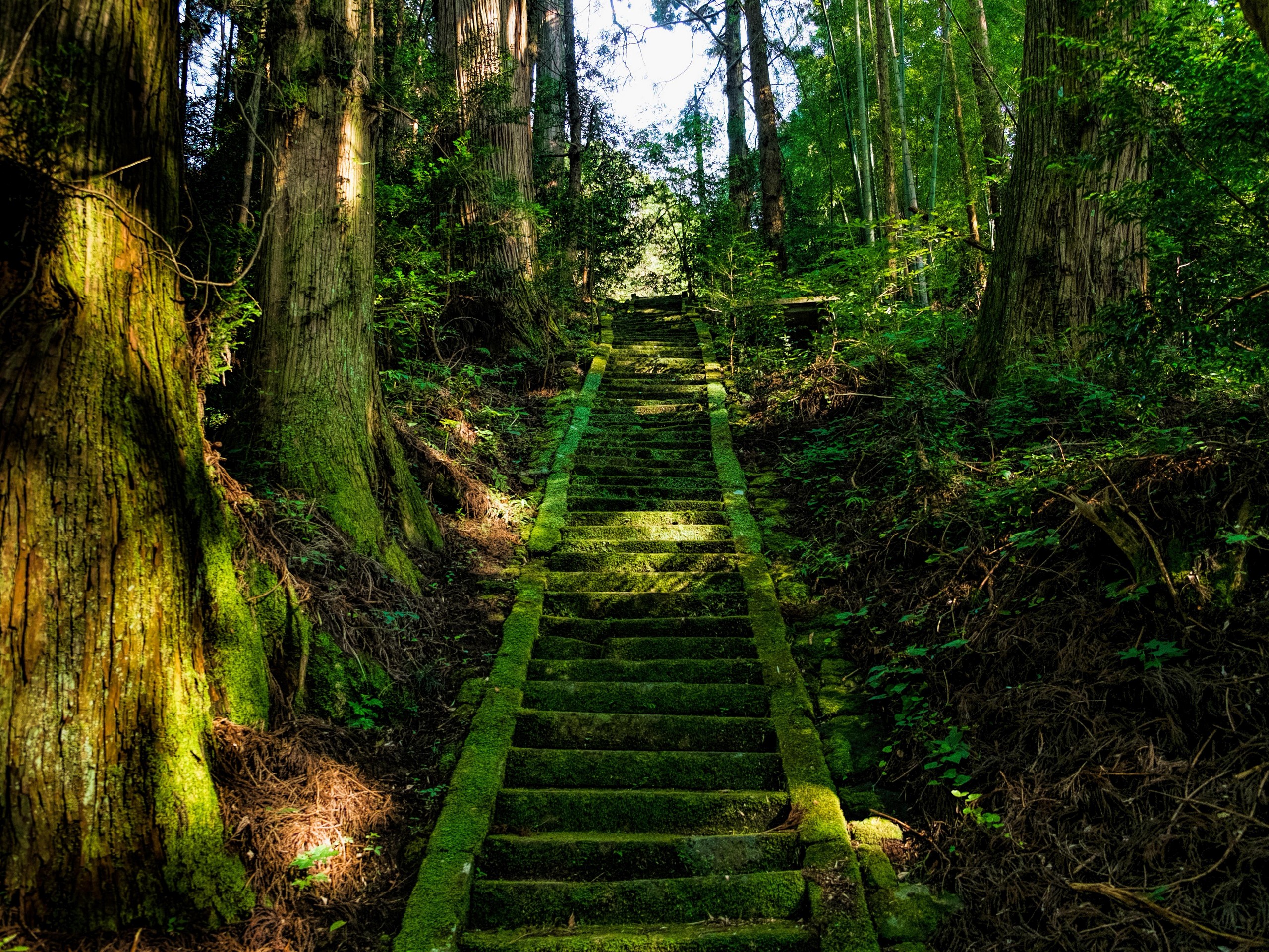 Walking in Aso, Japan