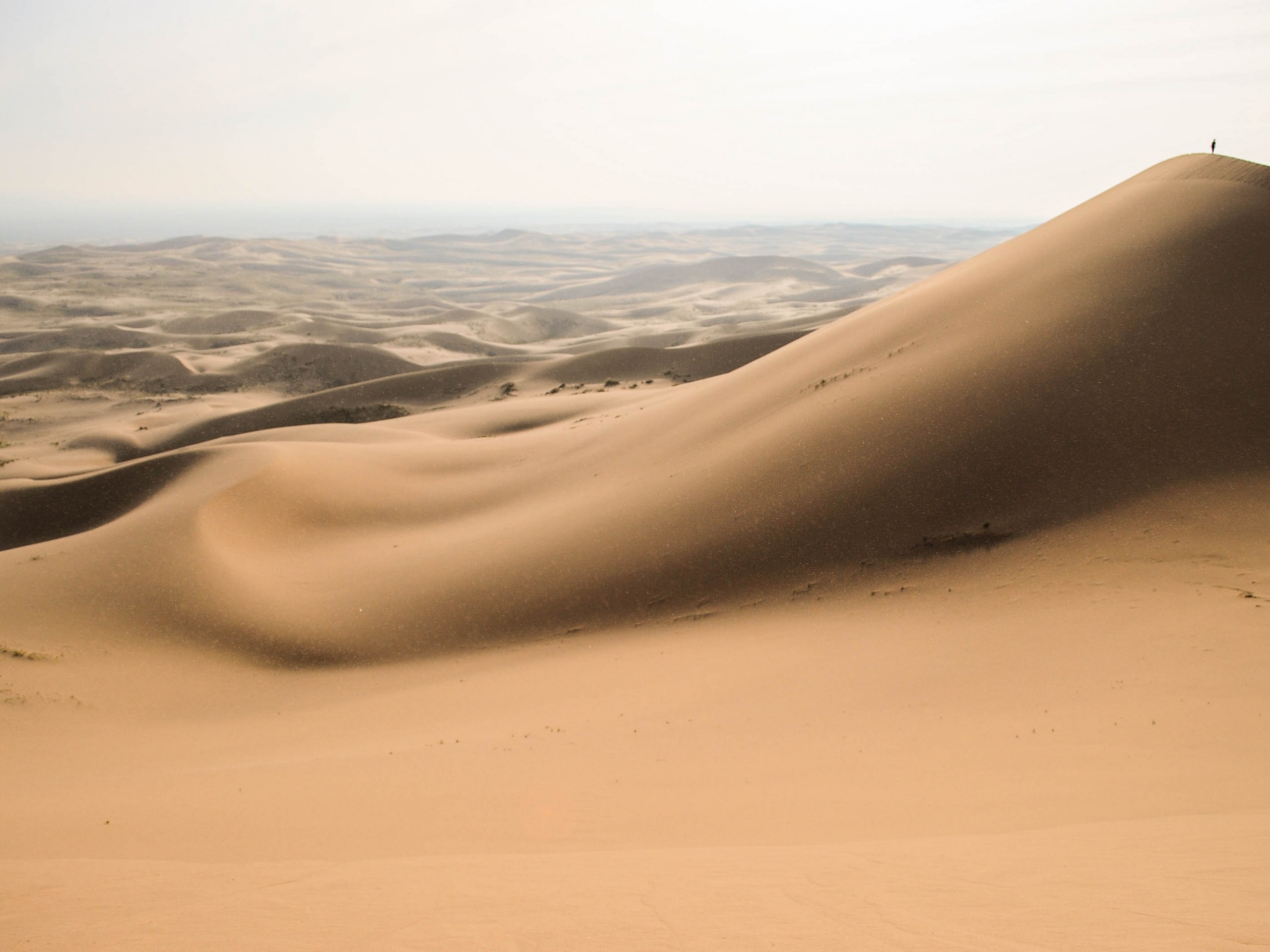 Sandy dunes in Gobi Desert, Mongolia