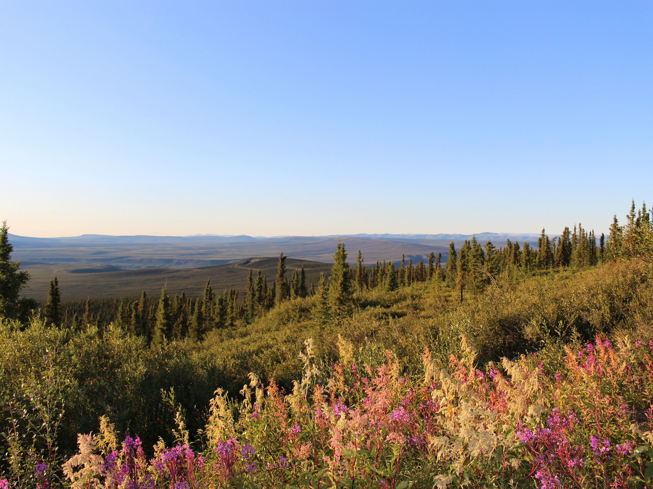 Wilderness in Yukon