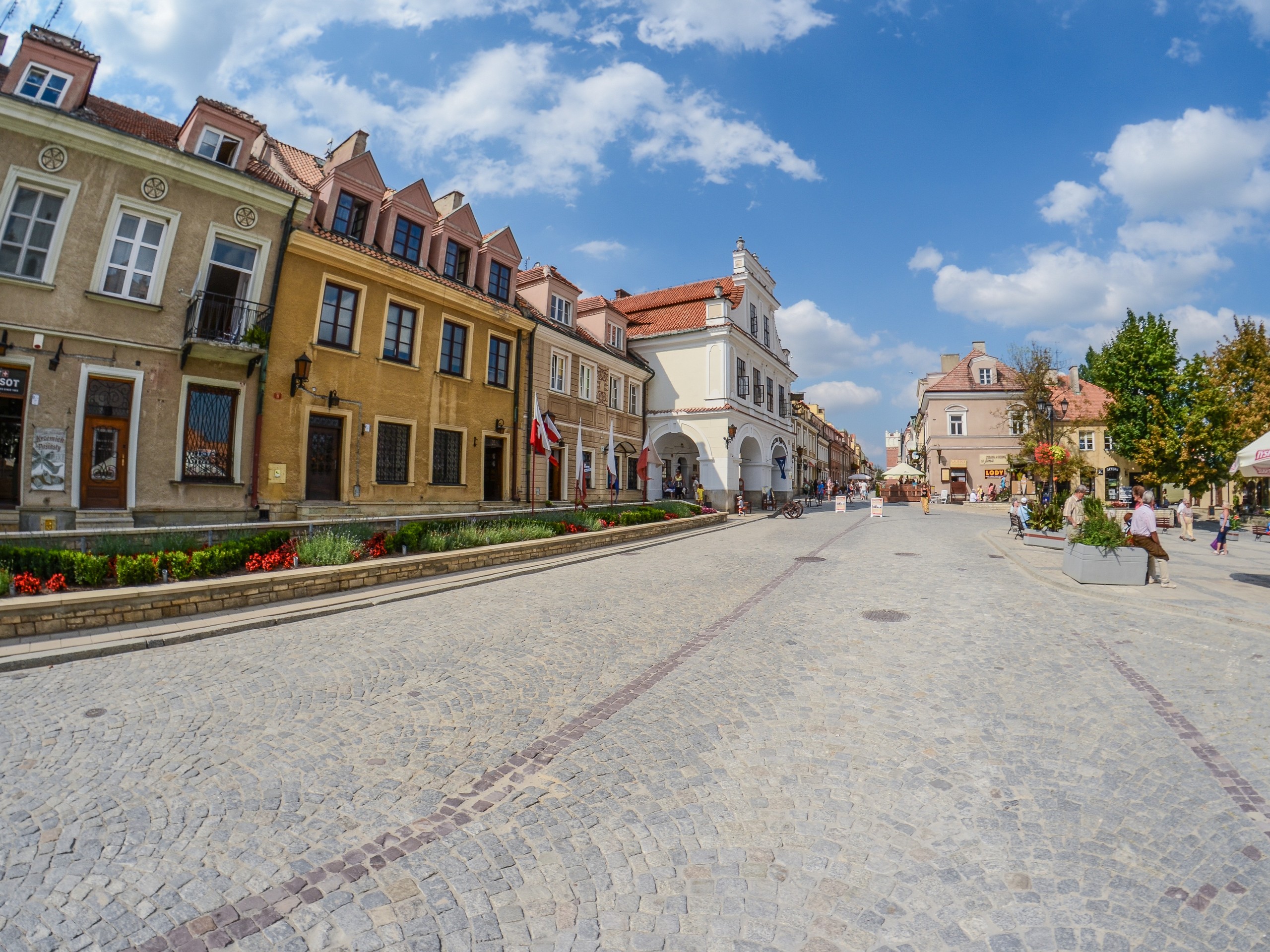 Small cozy street in Poland