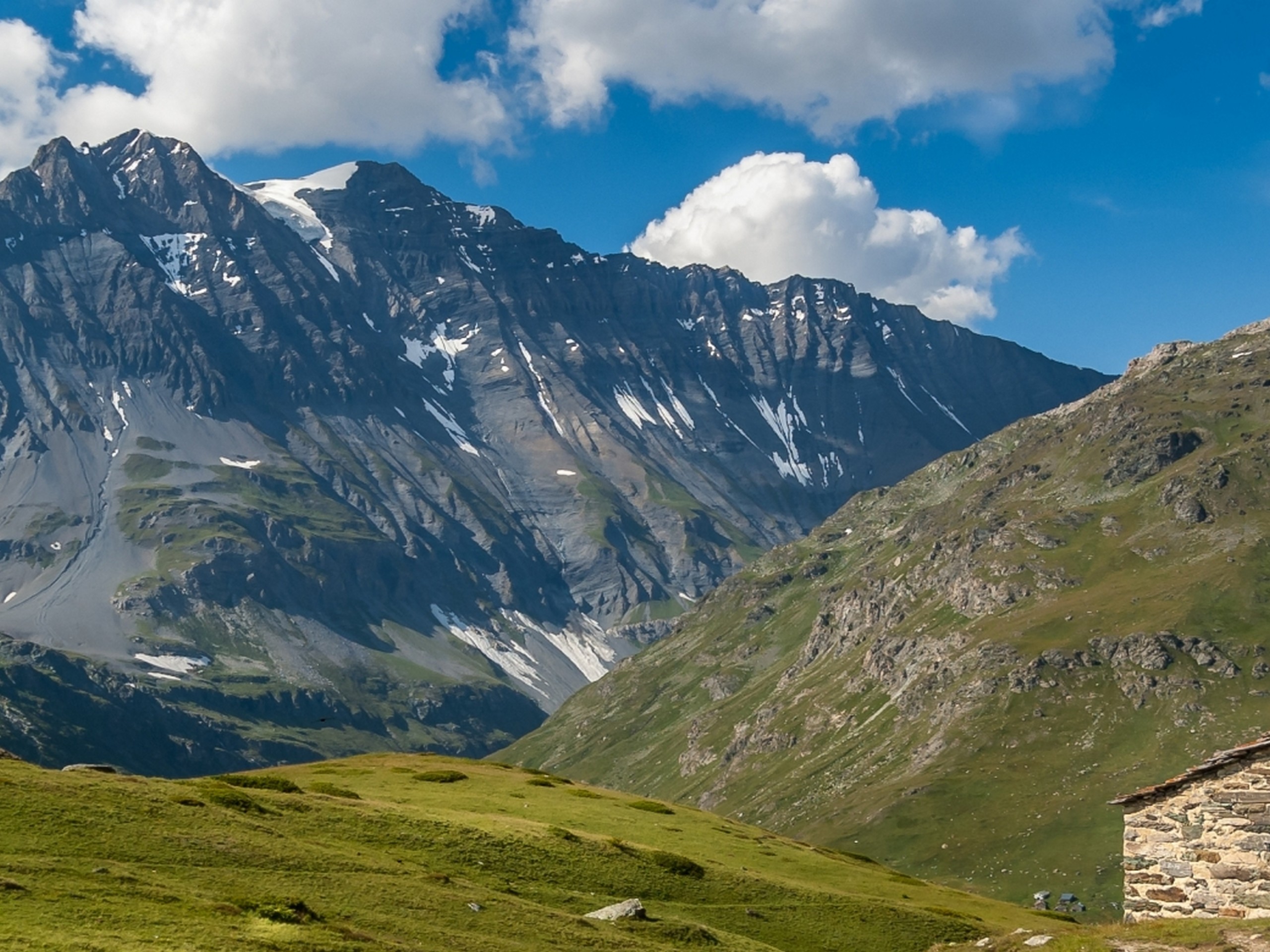 Green meadows in France