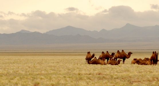 Overland Loop of Mongolia