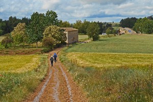 Walking the last 100 km of Way of St. James Tour