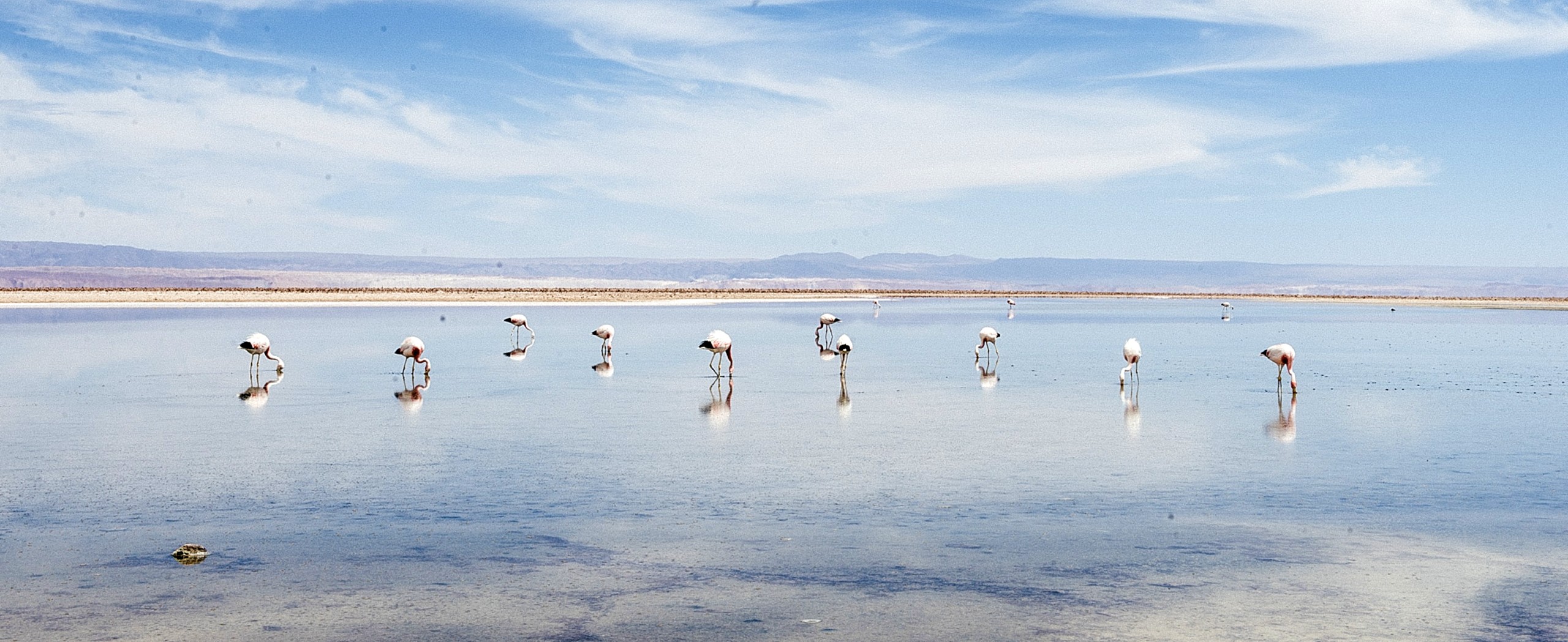 8-Day Atacama Desert Self-Drive Tour